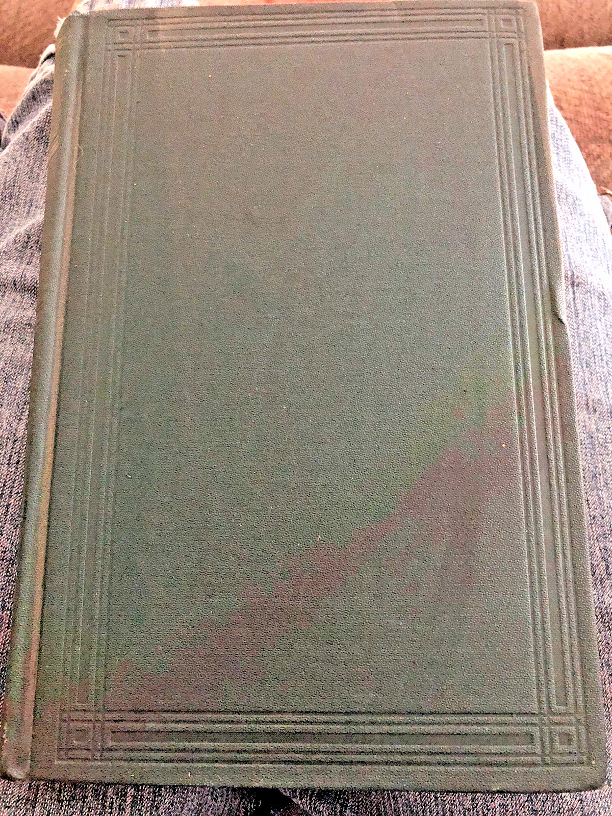 State Of New York Department Of Agriculture 25th Annual Report 1918