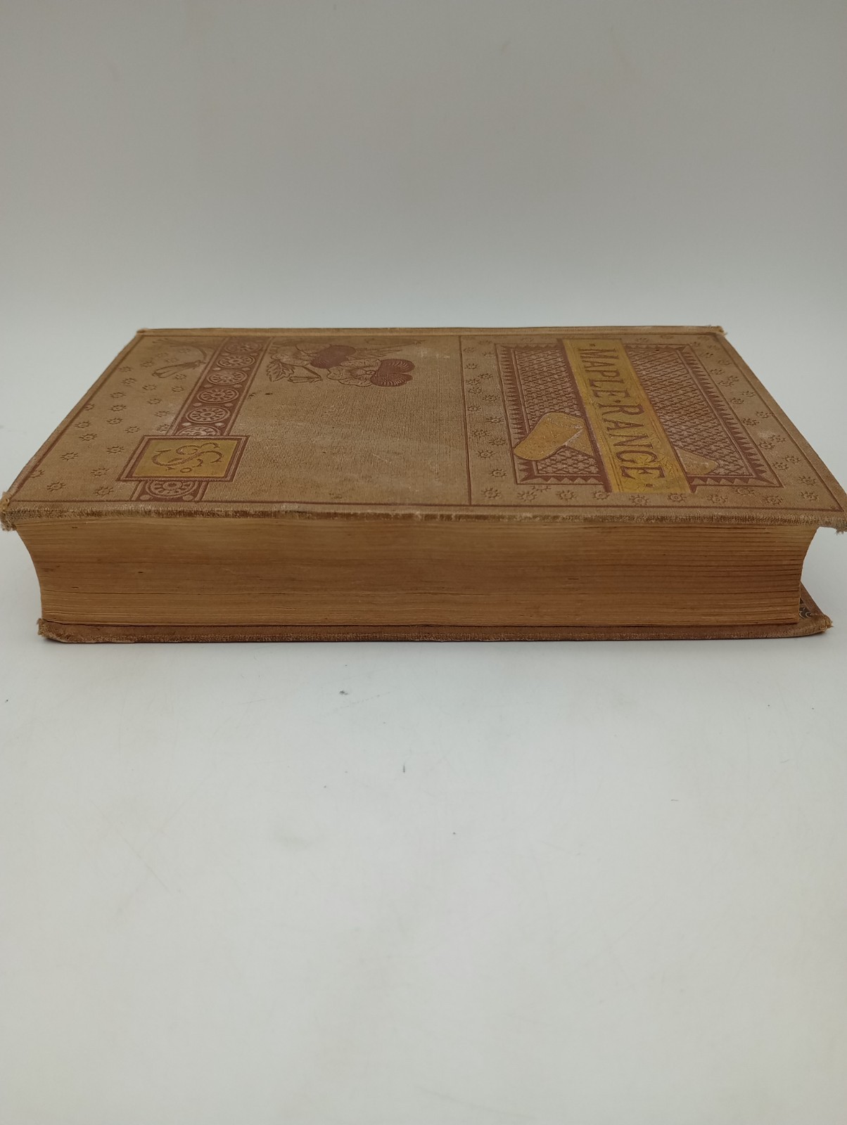 Maple Range A Frontier Romance, Edna A Barnard, Antique 1882 1st Edition, Henry
