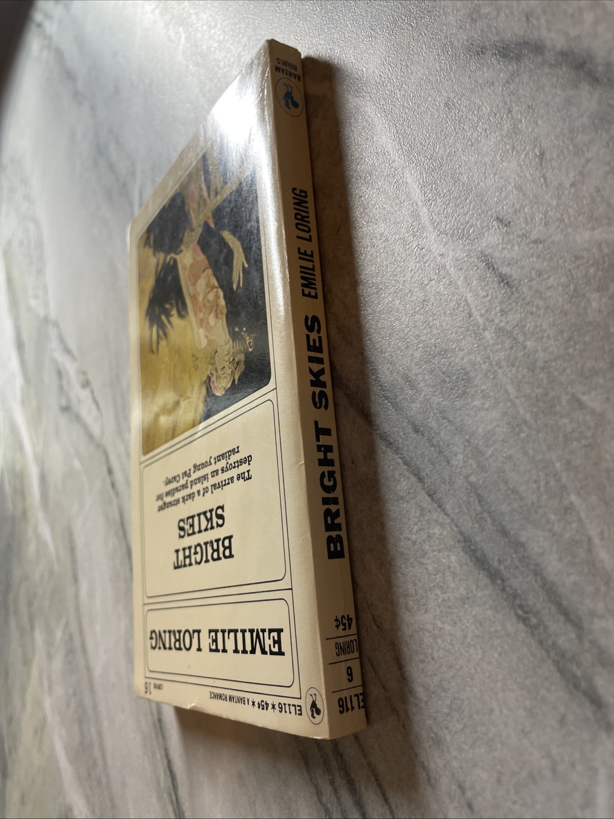 Bright Skies by Emilie Loring VTG PBK 1965