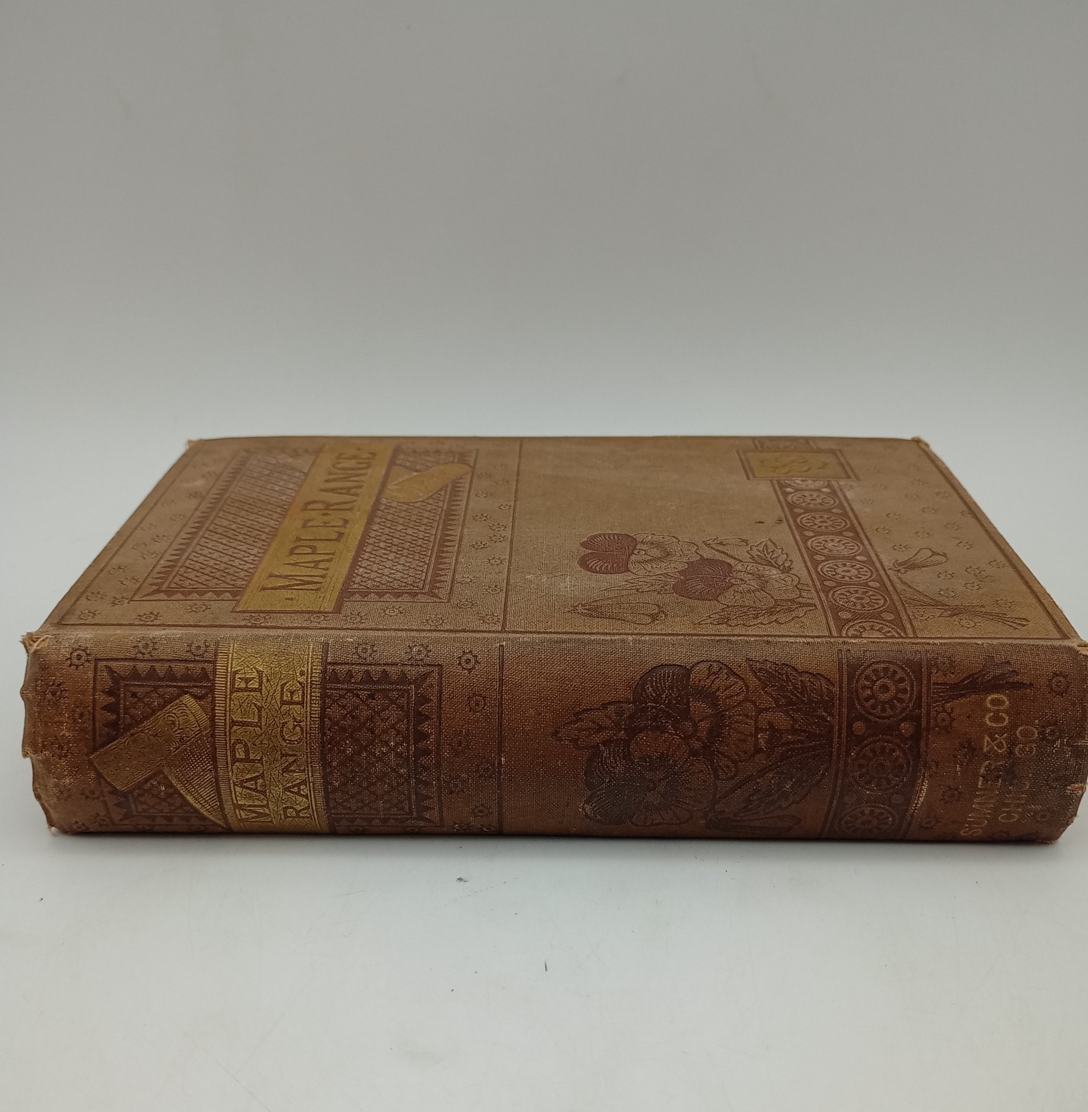 Maple Range A Frontier Romance, Edna A Barnard, Antique 1882 1st Edition, Henry