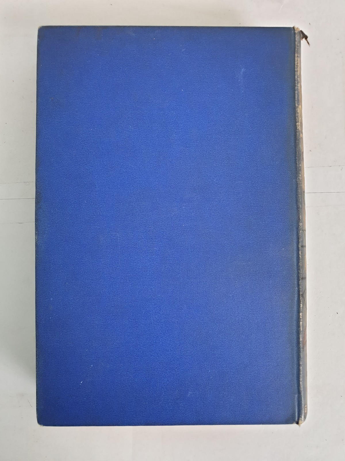 Notable Women of the Puritan Times by William Chapman, 1887 2nd edition, HBK