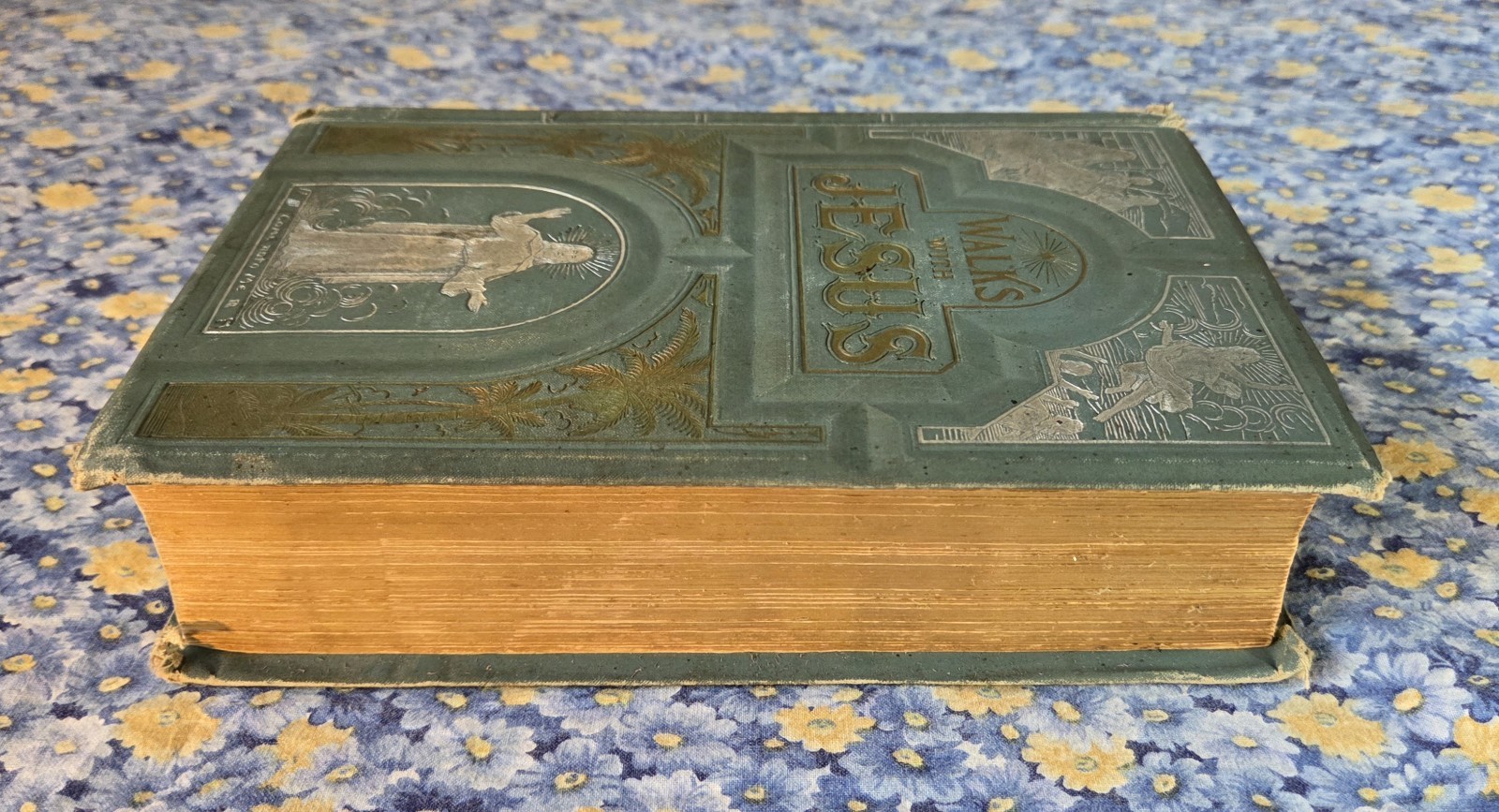 Walks With Jesus Or Days Of The Son Of Man By Daniel March, 1889, HC