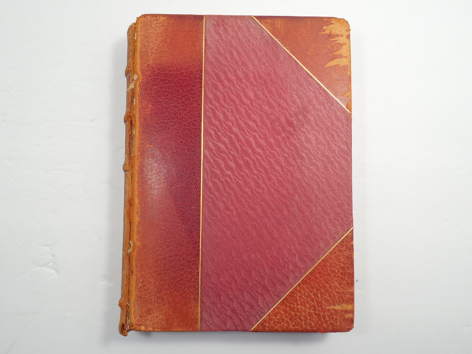 Picturesque Places: Holland by Nico Jungman & Beatrix Jungman, 1904, Leather