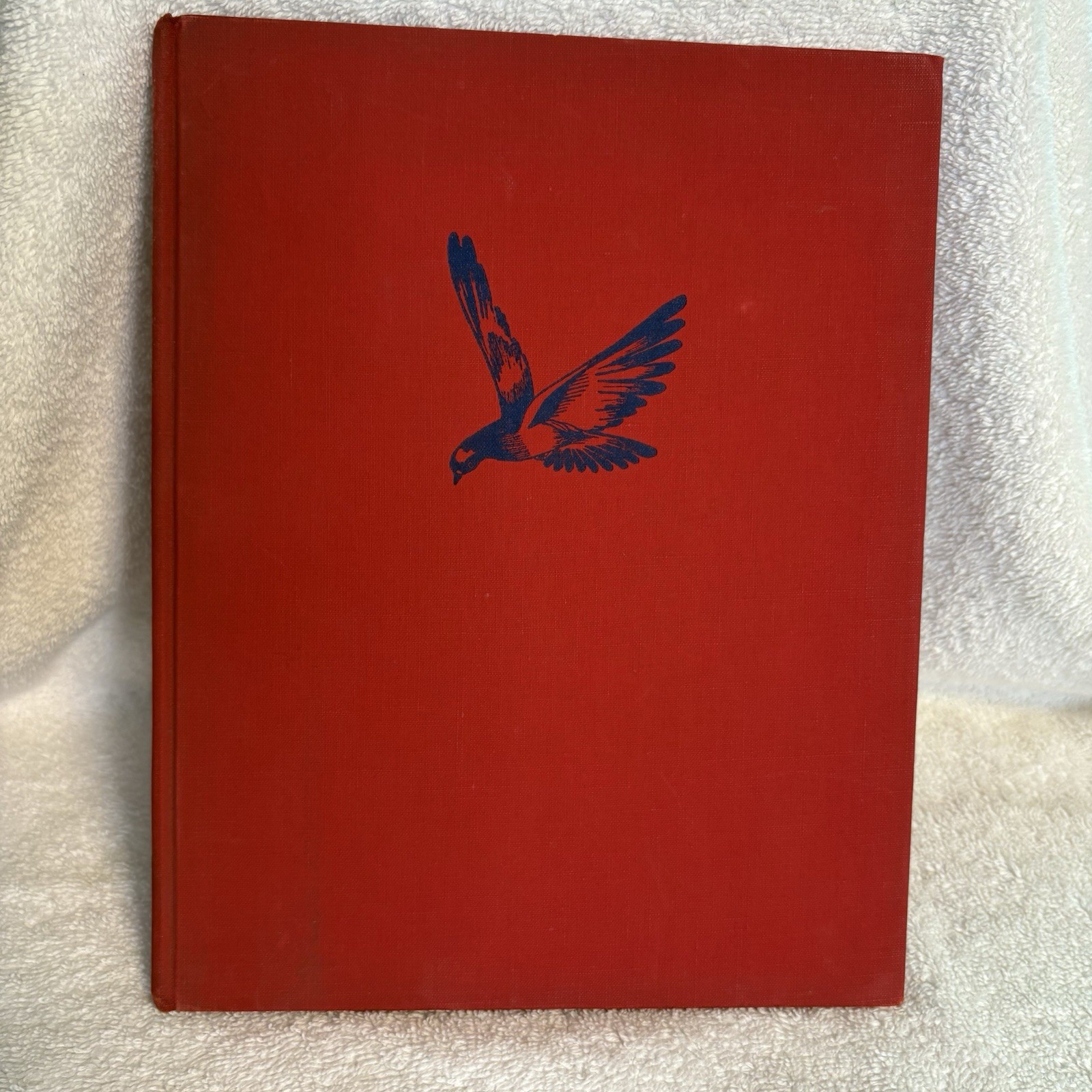 Vintage Watching For Winkie Book 1942 by Theresa Kalab Longmans, Green & Co. 1st