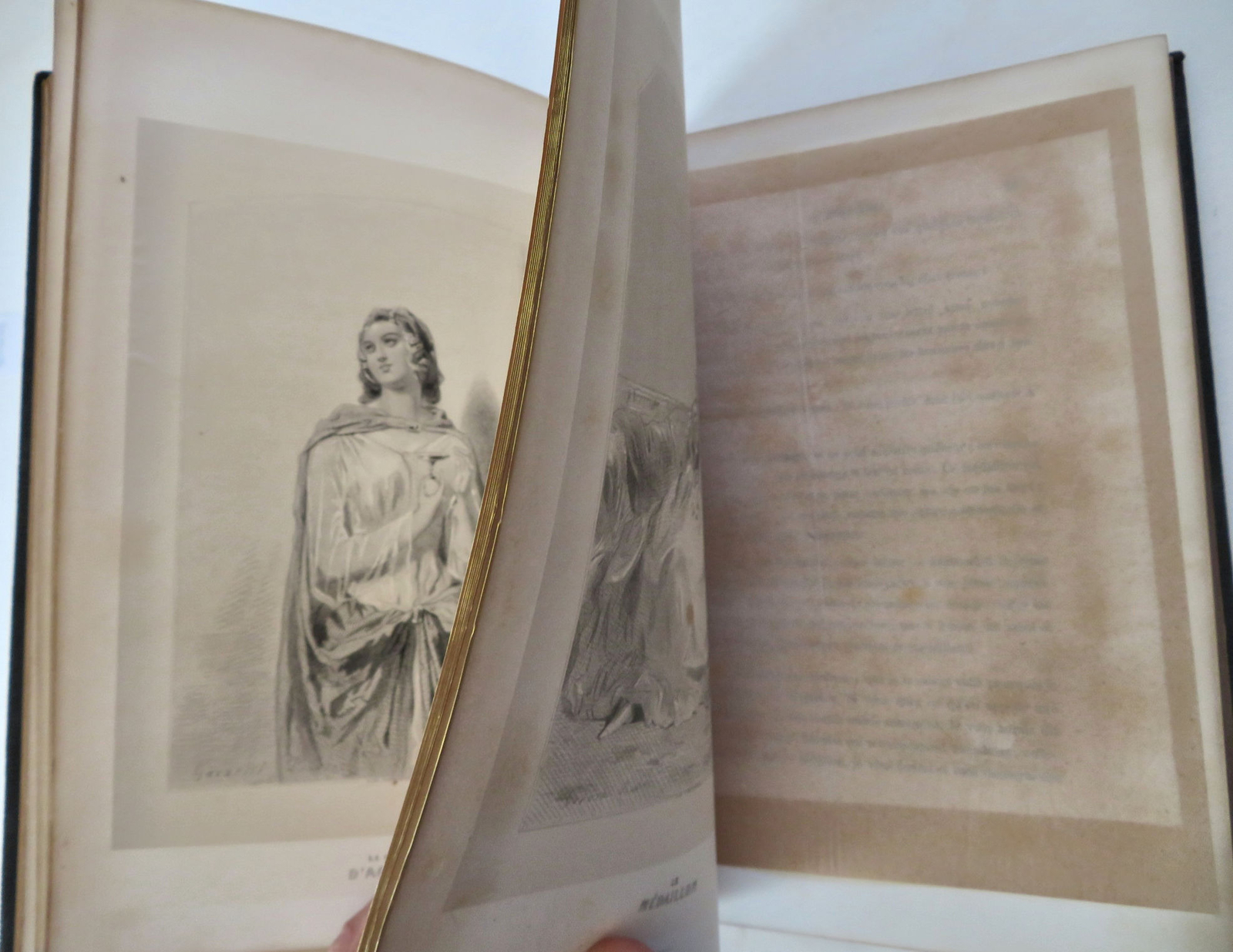 Les Joyaux Fanatasie c. 1870 Gavarni pictorial French decorative book 17 plates