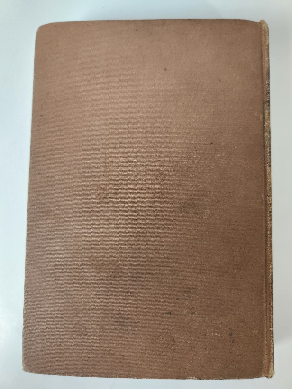 Through Mighty Waters Saved A Romance Of Johnstown Bailie Antique 1889 HC Book
