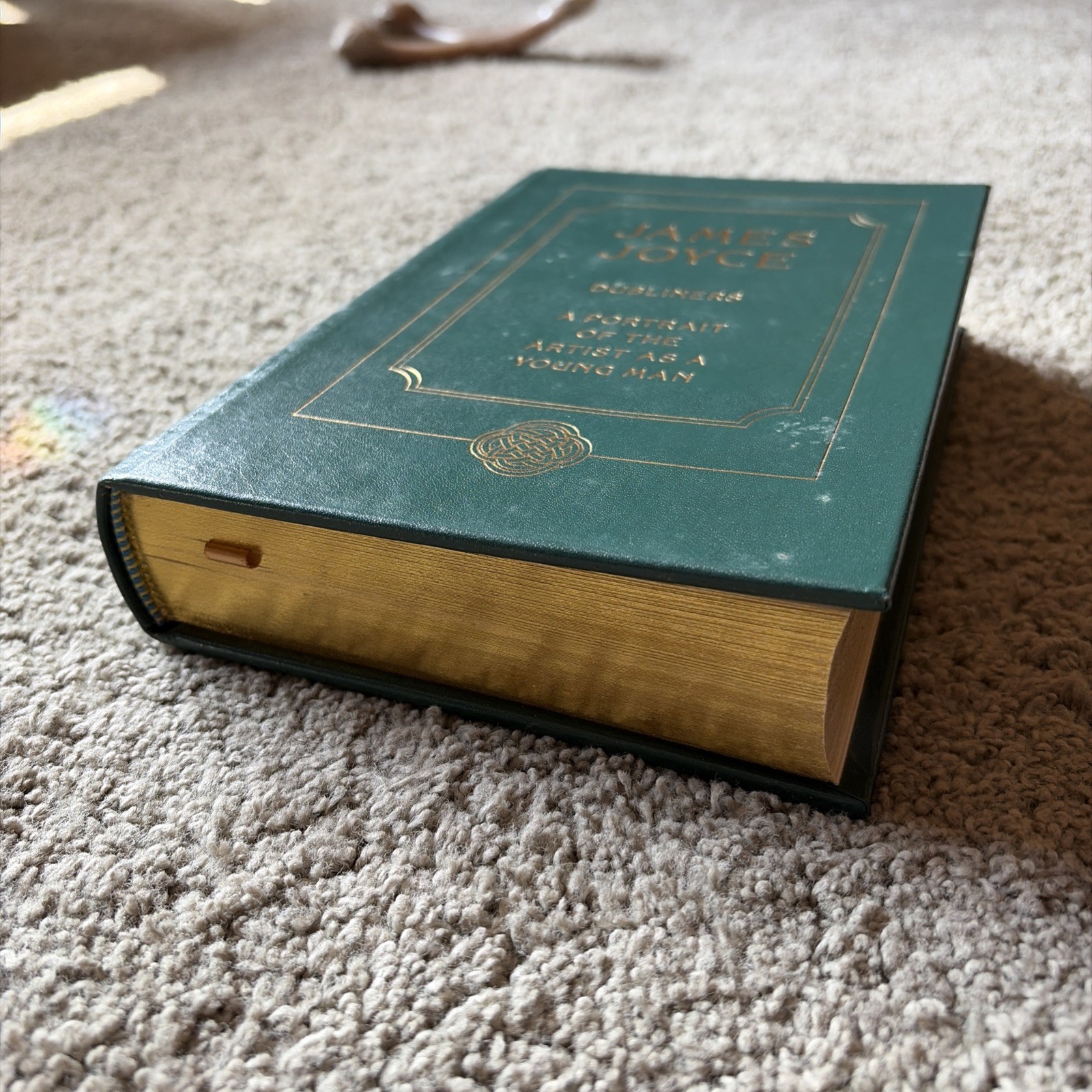 Dubliners & Portrait by James Joyce Collector Barnes & Noble Classic Books 1992