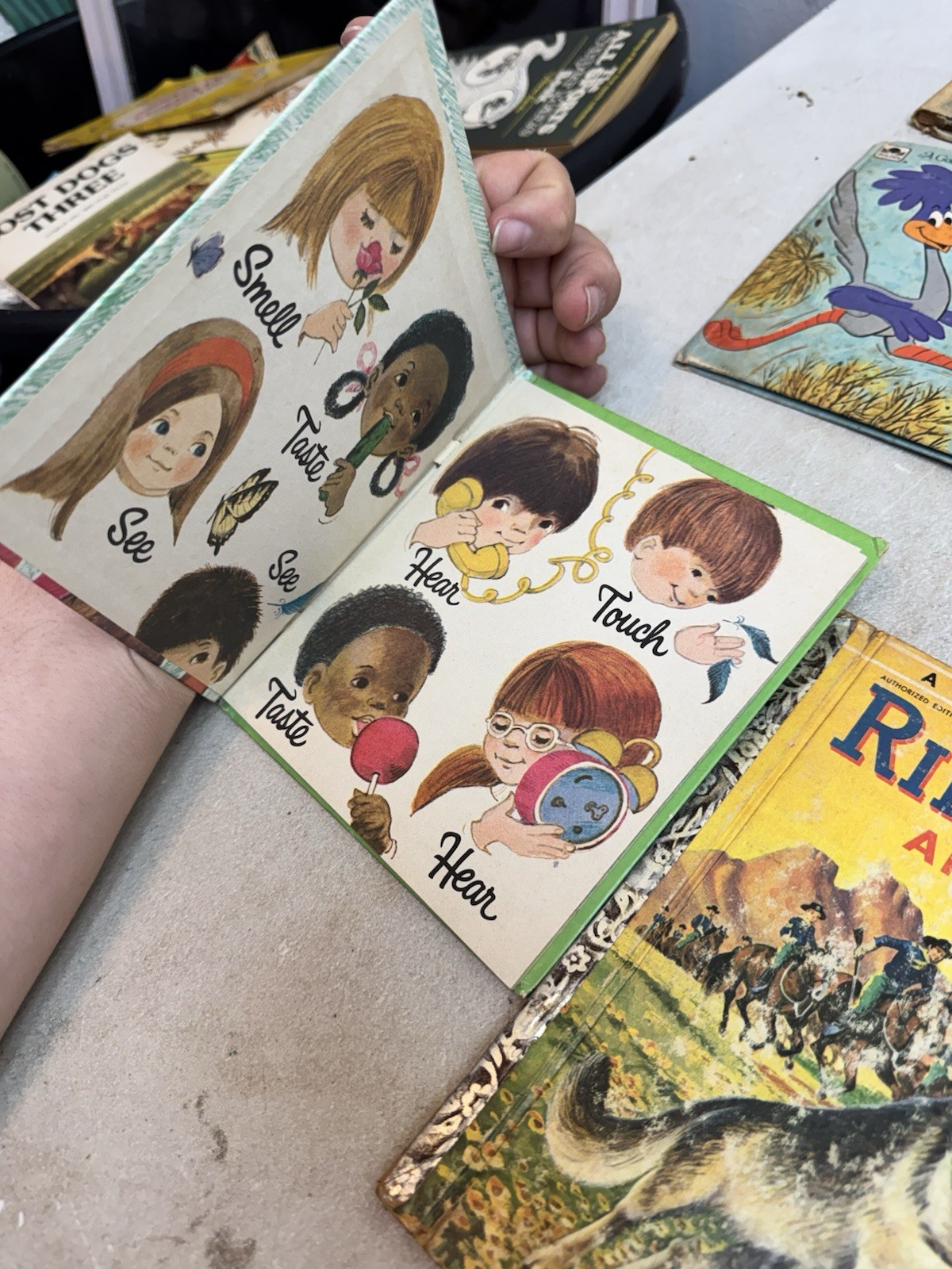 Vintage Children’s Book Lot of 13 1940s 1950s 1960s Little Golden Whitman & More