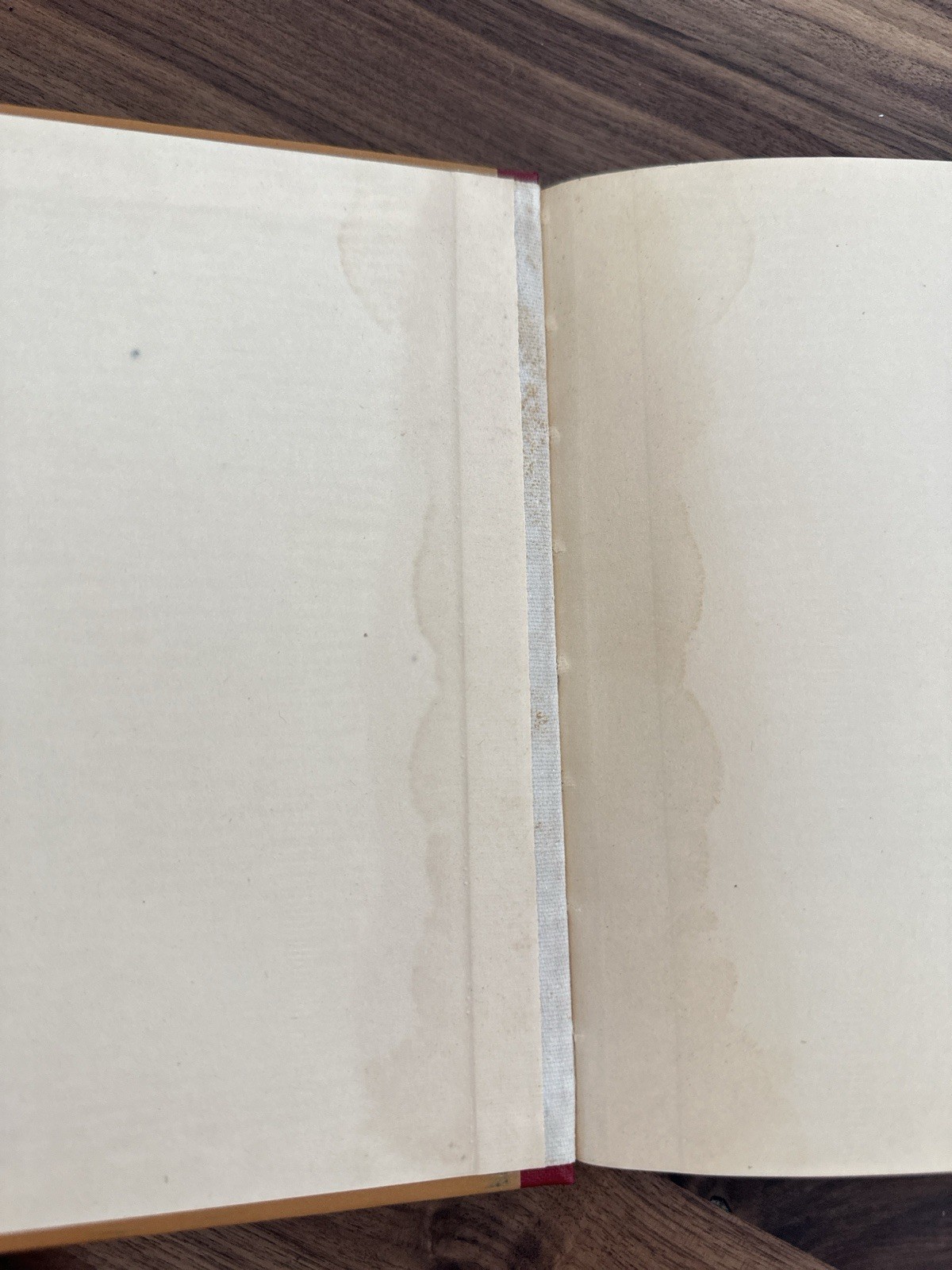 McGuffey’s Third Eclectic Reader Revised Ed. American Book Vintage 1920