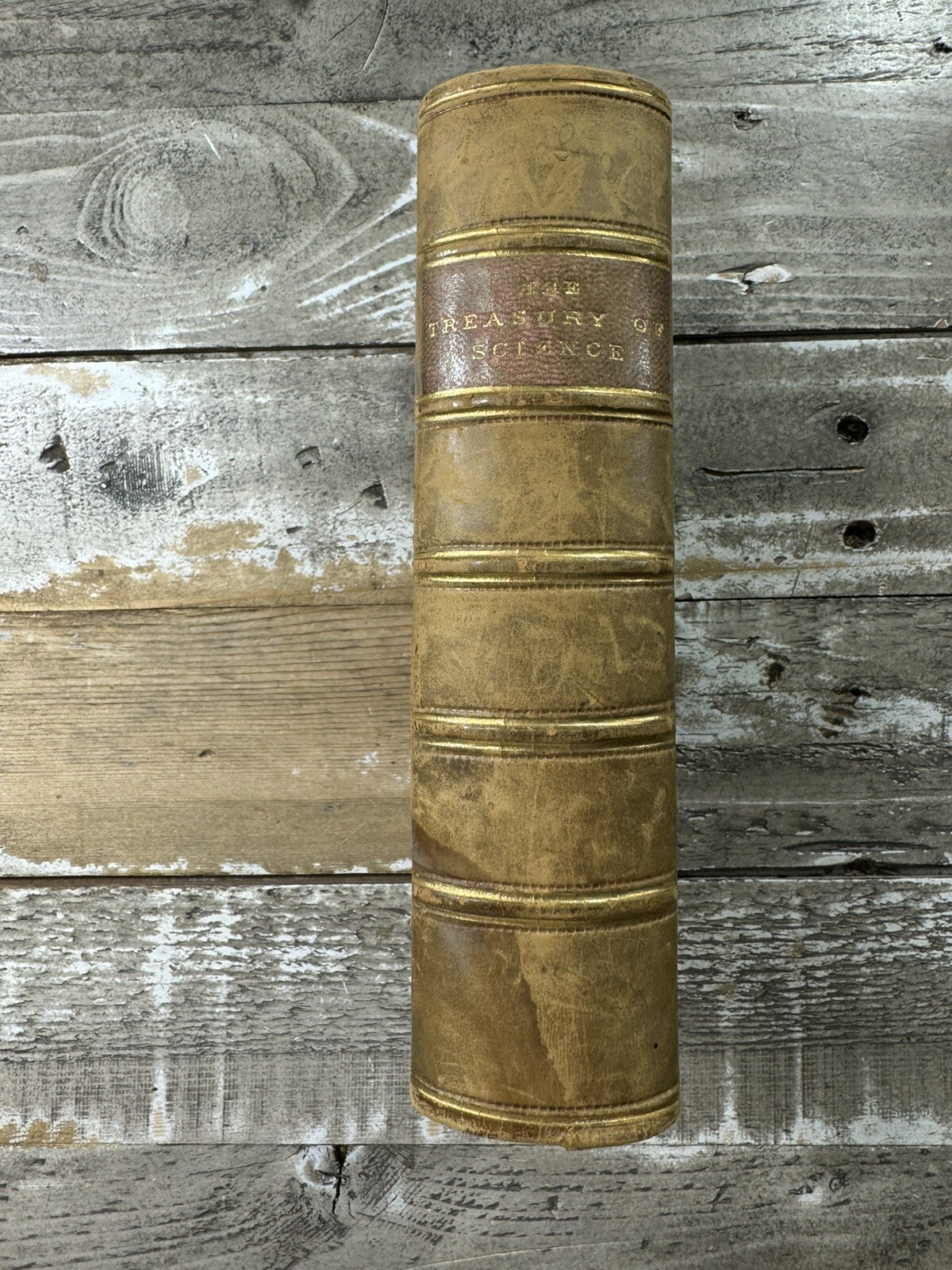 1866 Antique Reference Book „The Scientific & Literary Treasury“
