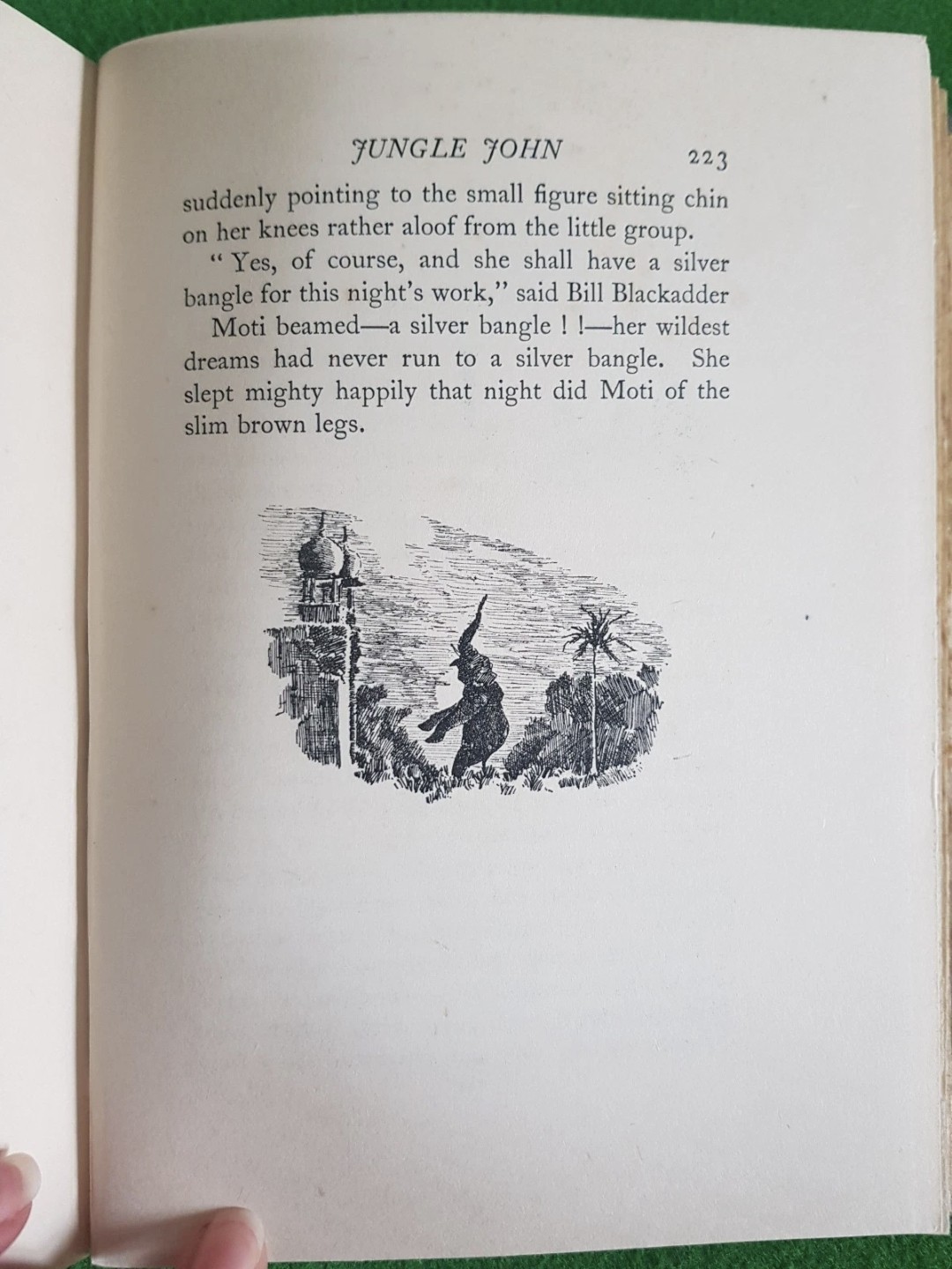 Jungle John – John Budden – First Edition 1927 – Illustrated Adventure