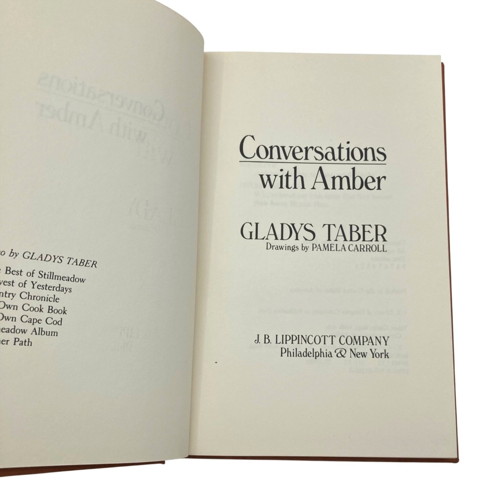 CONVERSATIONS WITH AMBER Gladys Taber Vtg 1978 HC DJ 1st First Ed Personal Cat