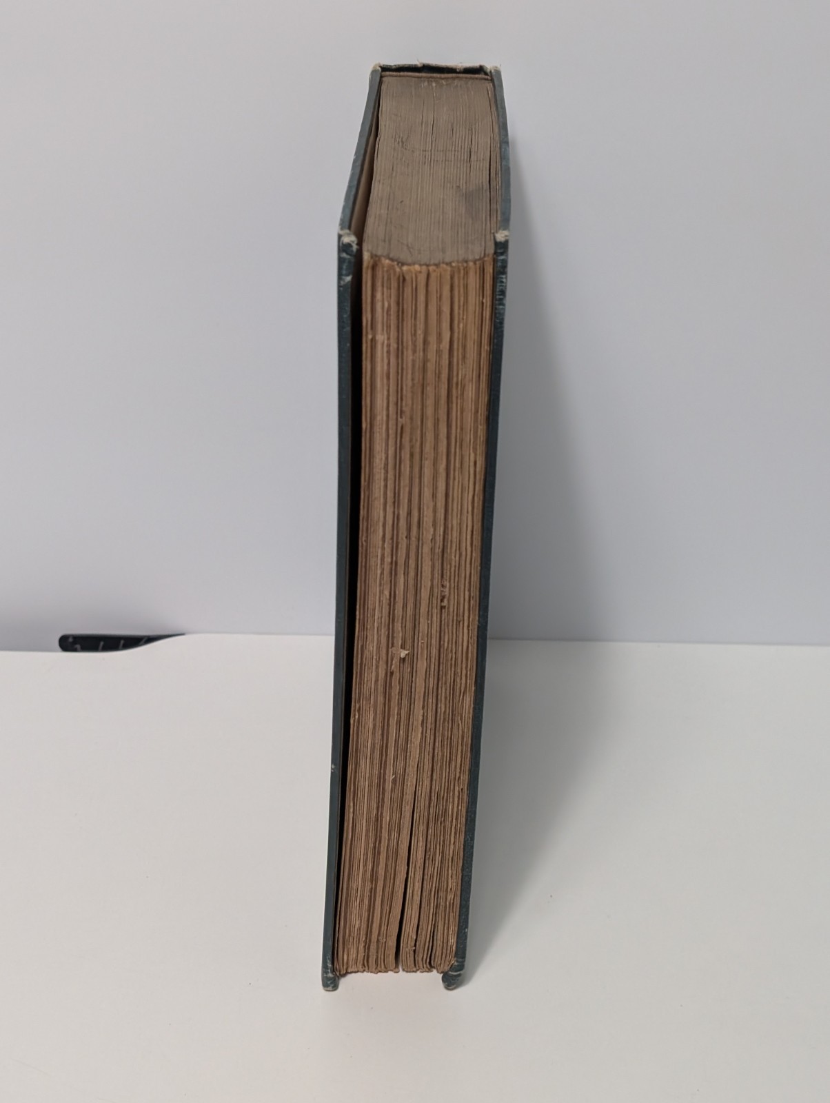 Sandro Botticelli Hachette 1913 hardback antique book