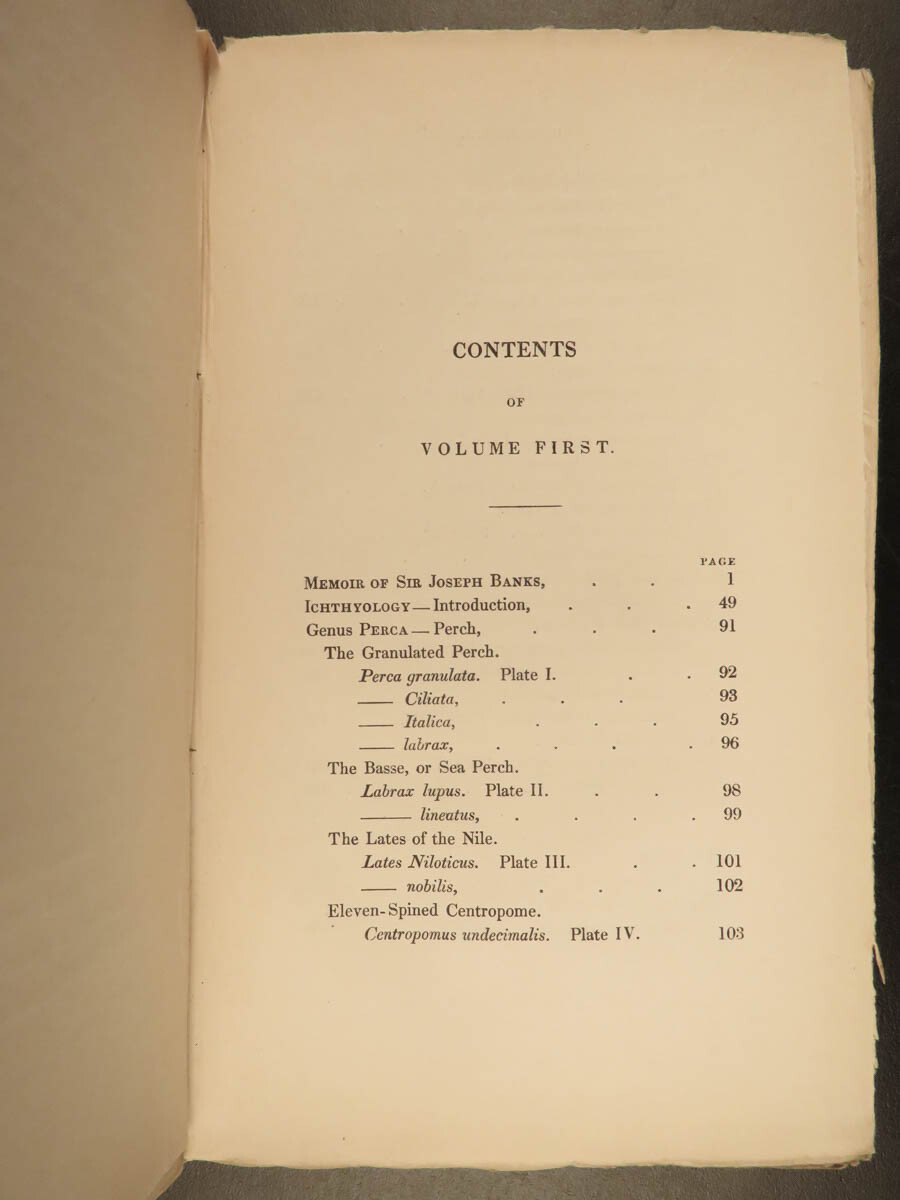 1835 Jardine Naturalist FISH Ichthyology Perch Black Bass Hawkfish FISHING