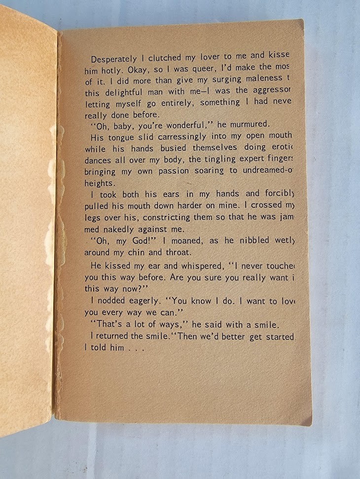Vintage Book – Queersville by Ed Culver (1965)