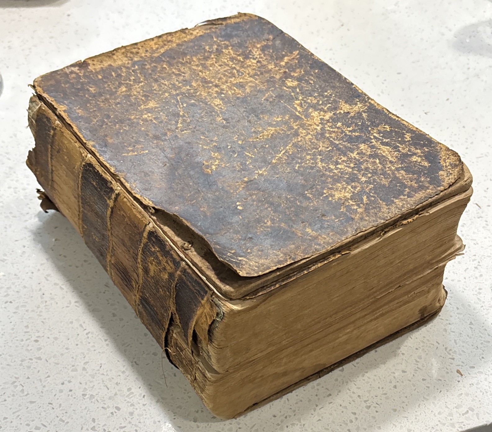 Noah Webster Leather Bound Unabridged Dictionary Super Rare Antique 1859