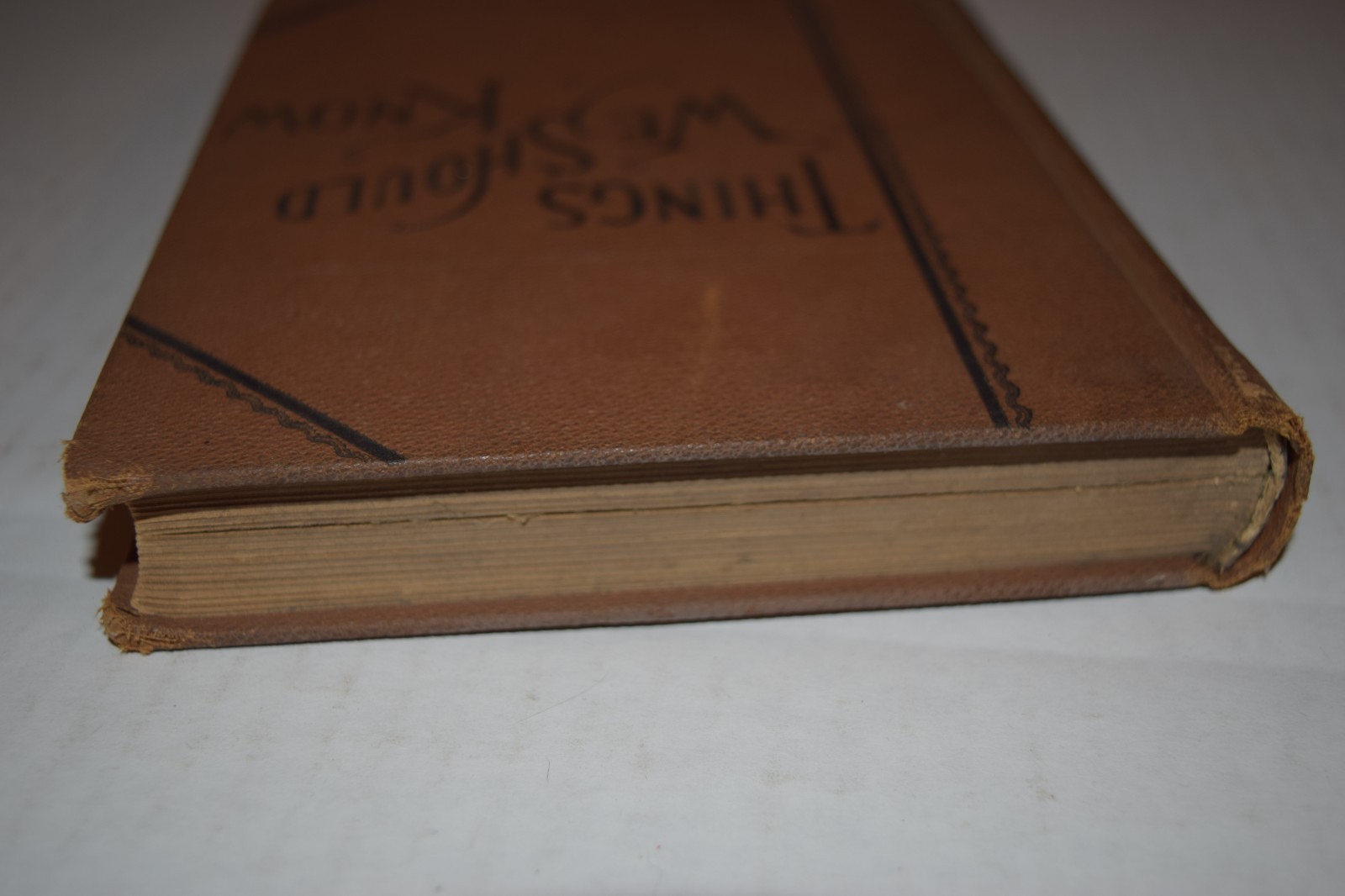 Things We Should Know – Frank Gilbert 1893! HC illustrated