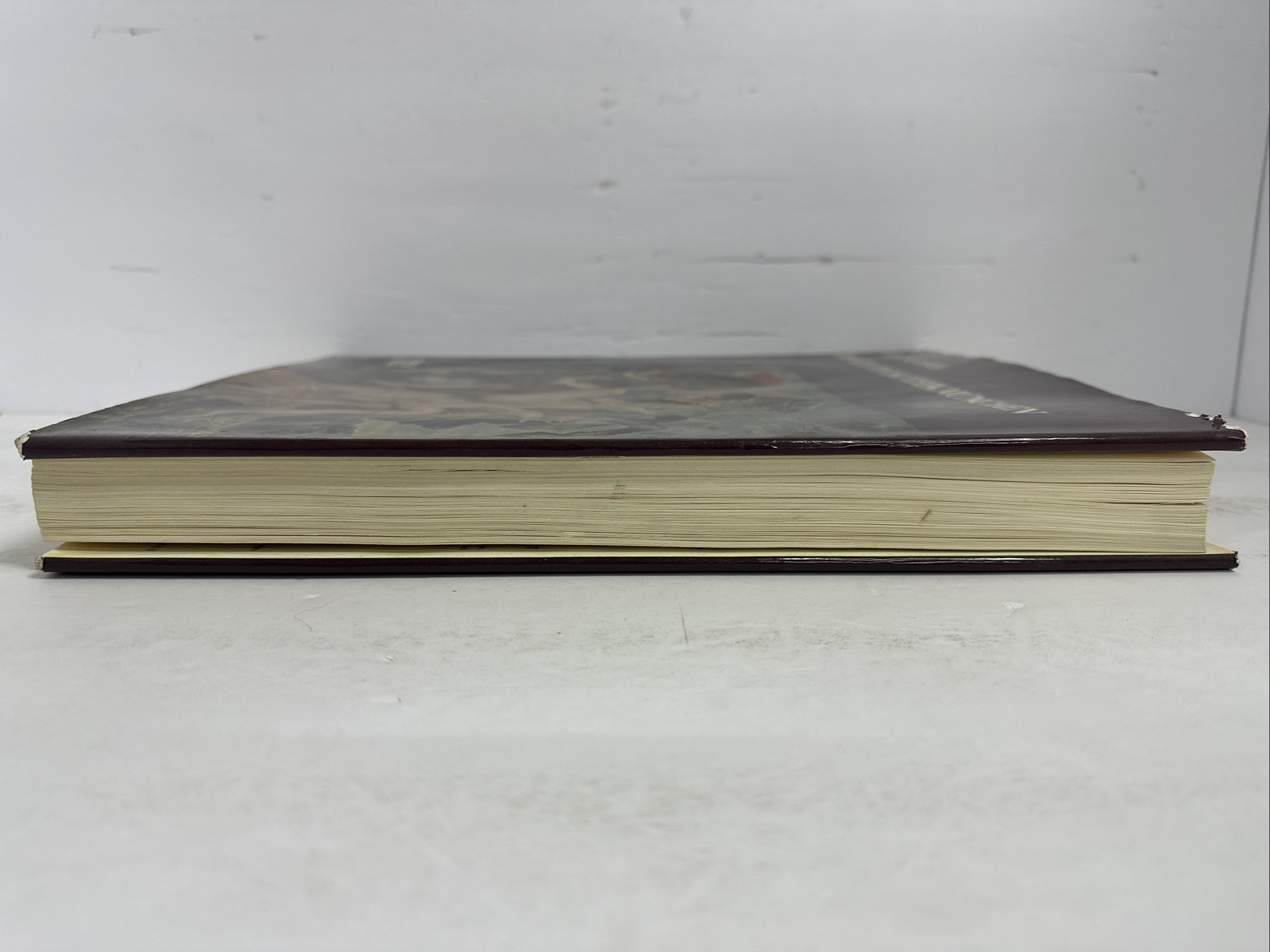 Ernst Buchner-Diealte Pinakothek München By Hirmer Verlag – German Historical