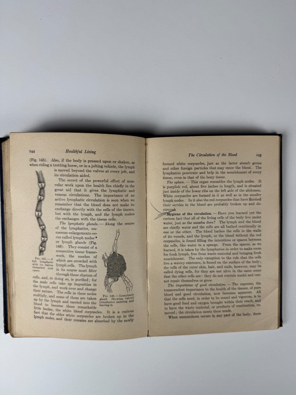 1919 Physiology Vintage Medical Textbook Health Science Hardcover Illustrated