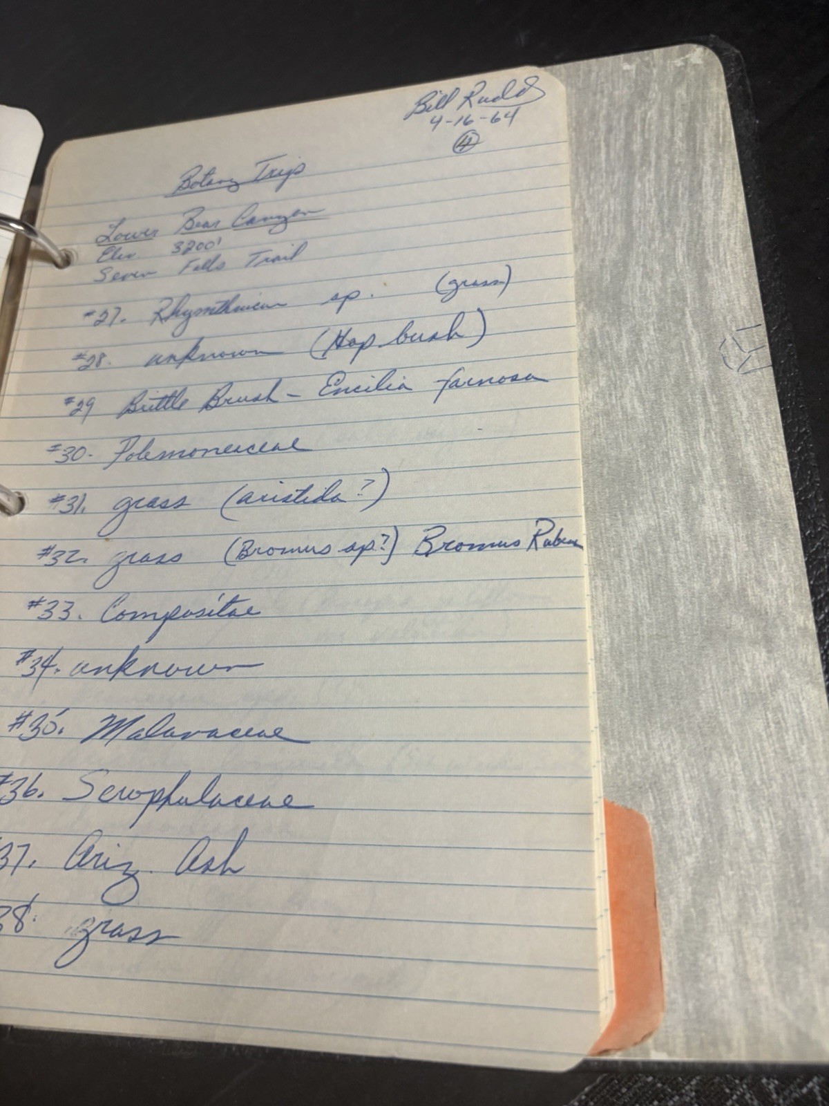 1963 Wildlife Management Field Notes Binder Zoo 260 Arizona Manuscript