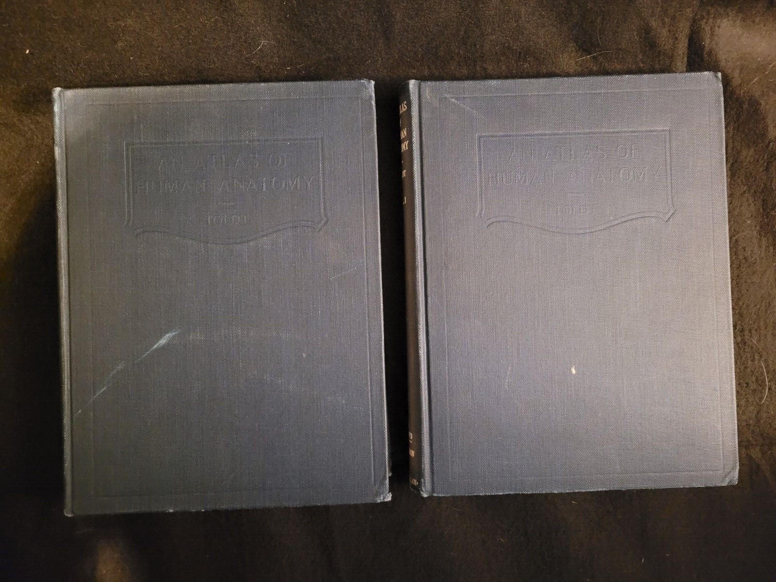 An Atlas of Human Anatomy Carl Toldt 1944 2nd Edition Vol 1 and 2