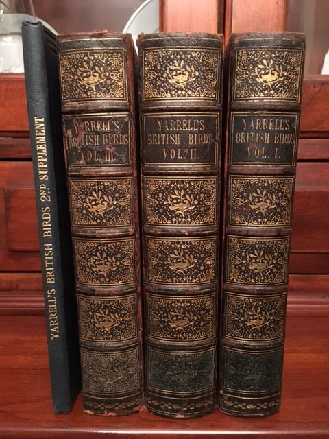 RARE 1843 History of British Birds, Yarrell, Owls Swans Goose Ducks, ORNITHOLOGY