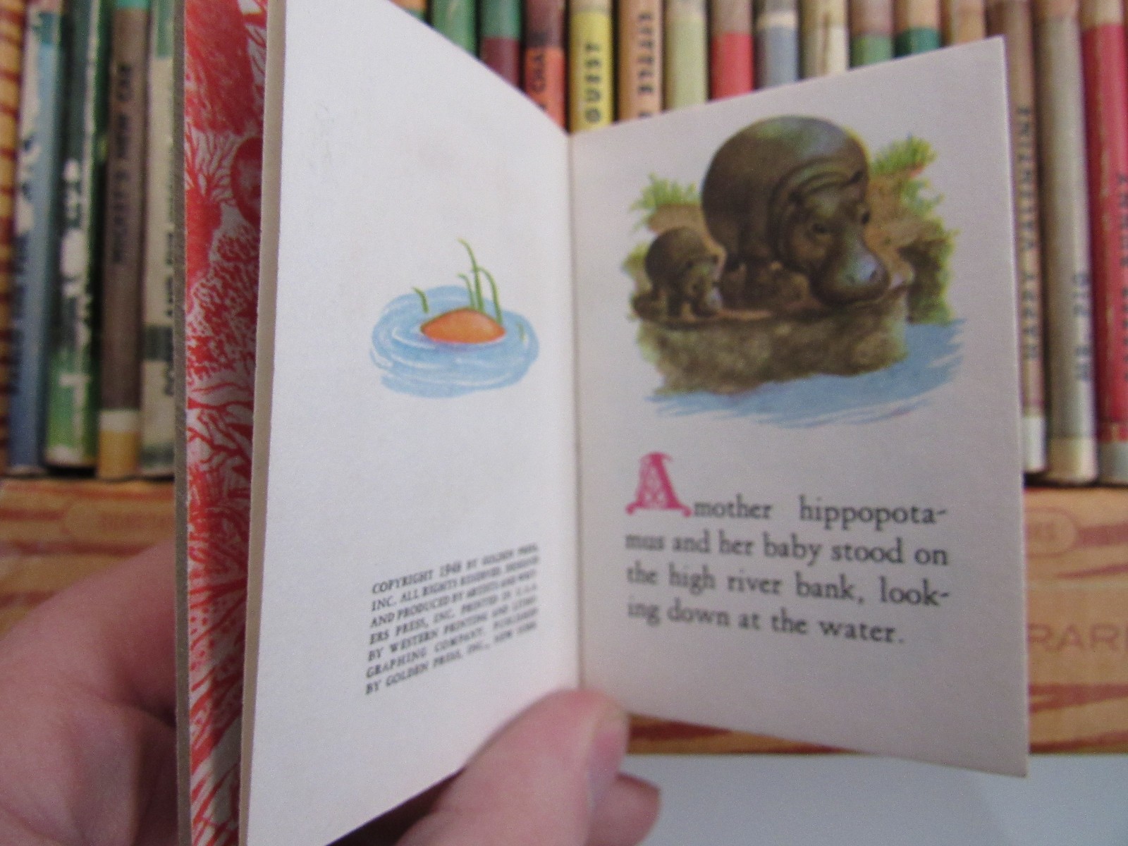 Vintage Tiny Golden Library Complete Box Set (36 miniature books)
