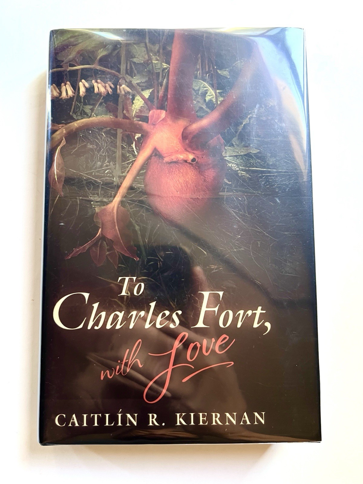 To Charles Fort with Love by Caitlín R. Kiernan Subterranean Press Signed 1st