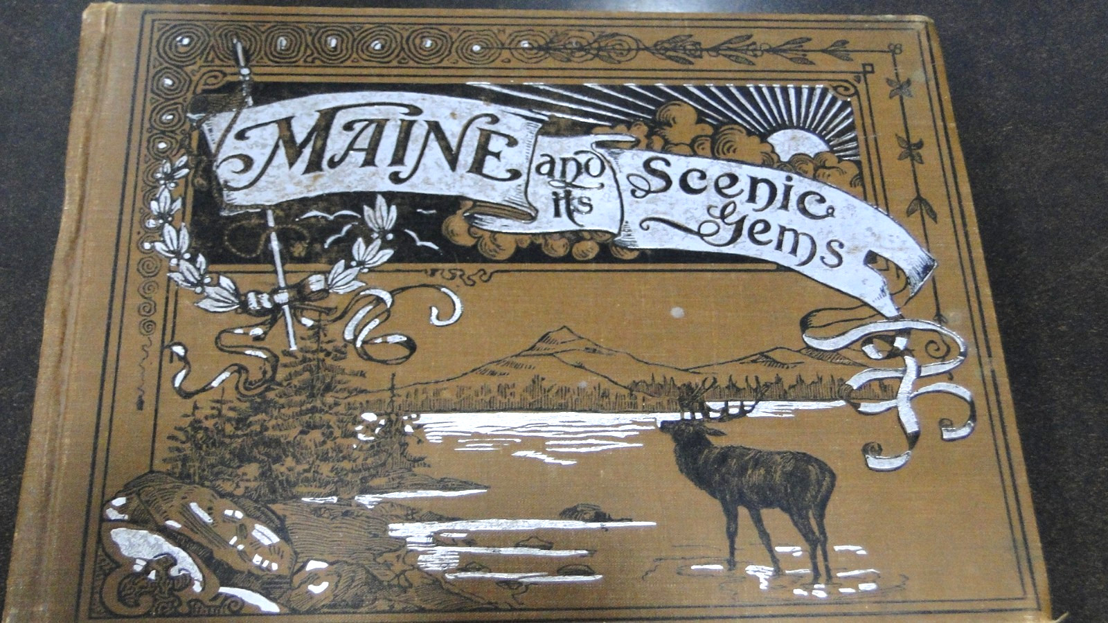 Scenic Gems of MAINE 1898 Geo W Morris Portland