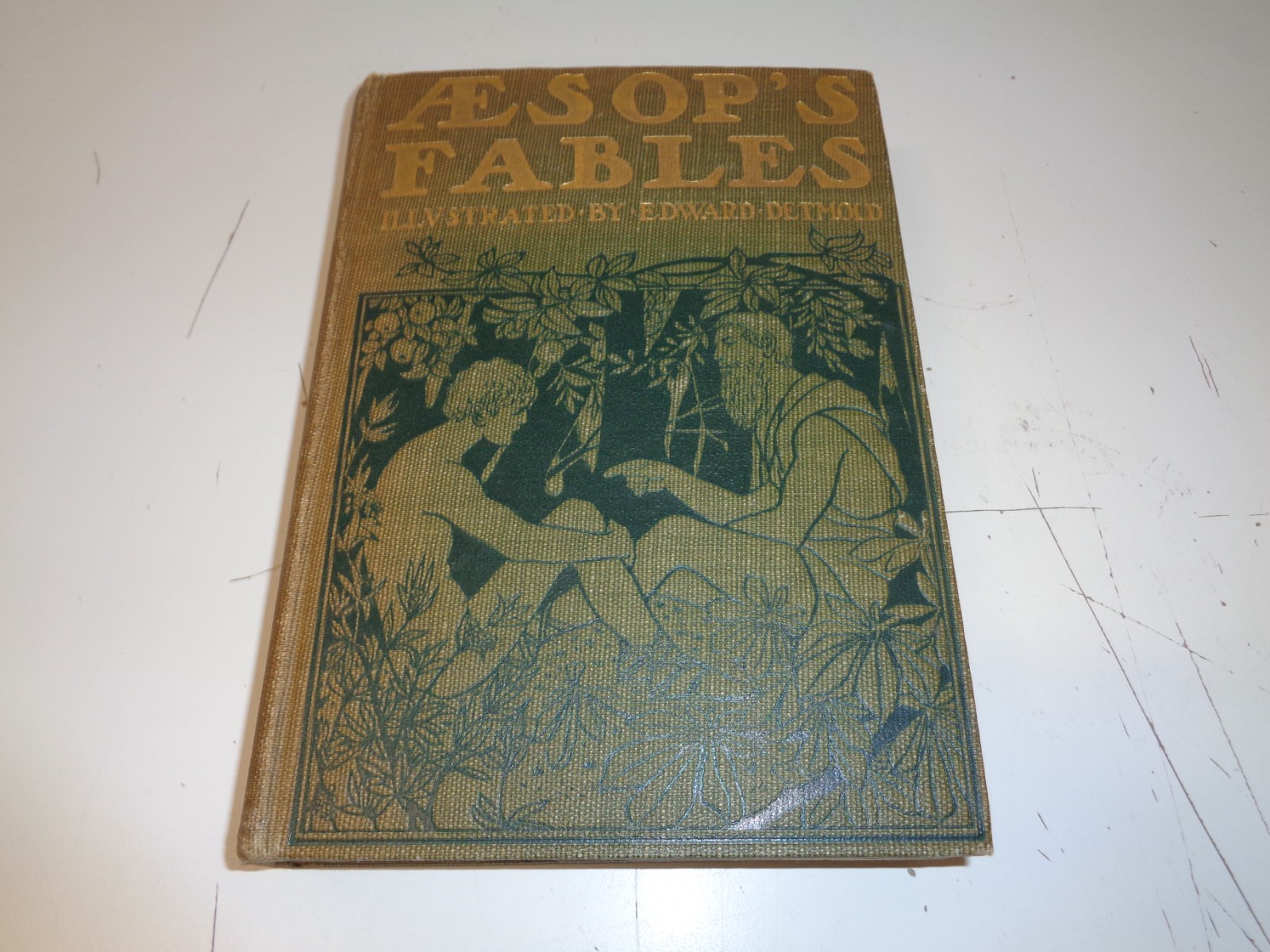 Vintage Aesop’s Fables Illustrated Edward Detmold Hodder Stoughton Publlisher