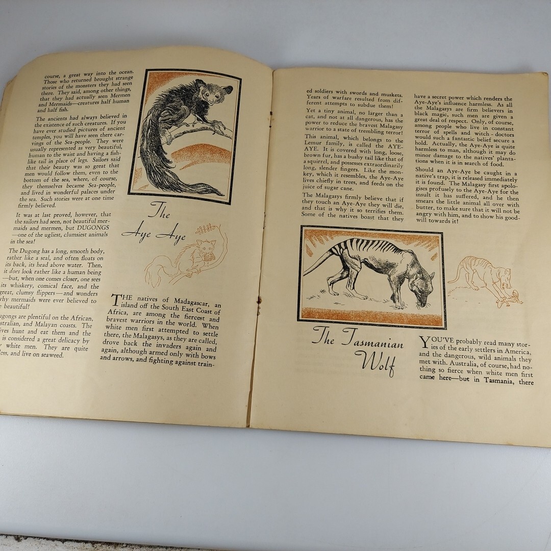Strange Animals Of The World Bloxham & Chambers Sydney Australia Illustrated
