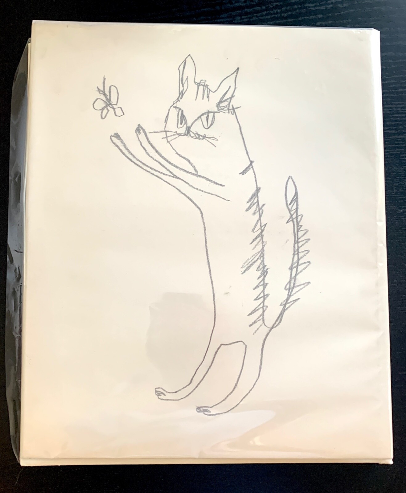 CATS / NECO – YUICHI HIBI – 1ST ED. – SIGNED – #230/500 – 2008 – NAZRAELI PRESS.