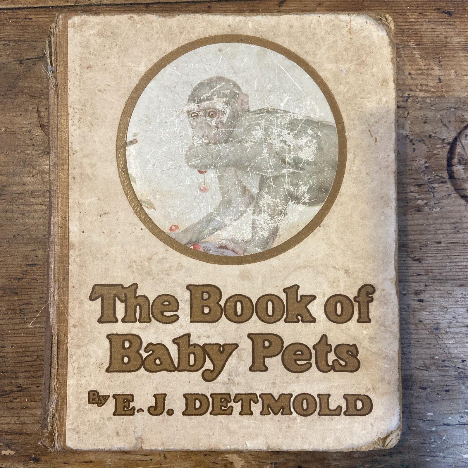 The Book of Baby Pets by E.J. Detmold, Hardback, Vintage book