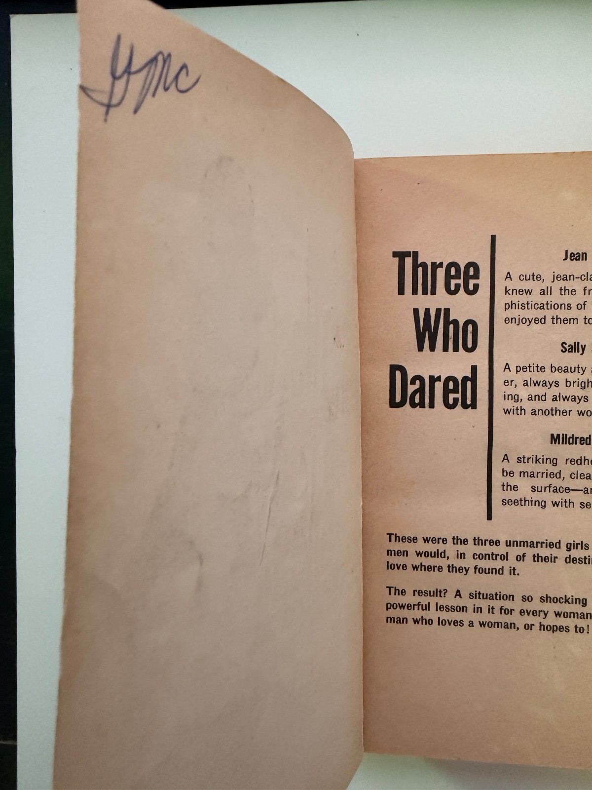 The Unmarried Ones by Don Rico Vintage Sleaze GGA Pulp Lesbian Paperback 1964