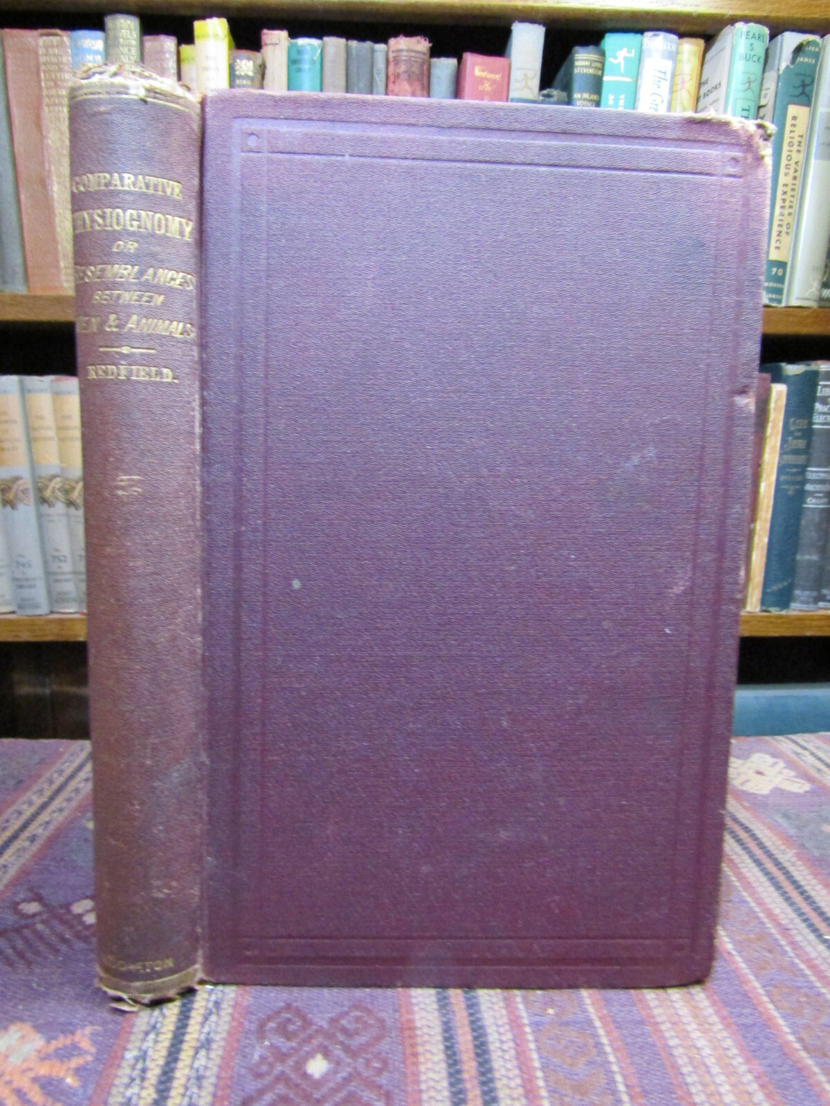 1866 Redfield COMPARATIVE PHYSIOGNOMY OR RESEMBLANCES BETWEEN MEN & ANIMALS Rare