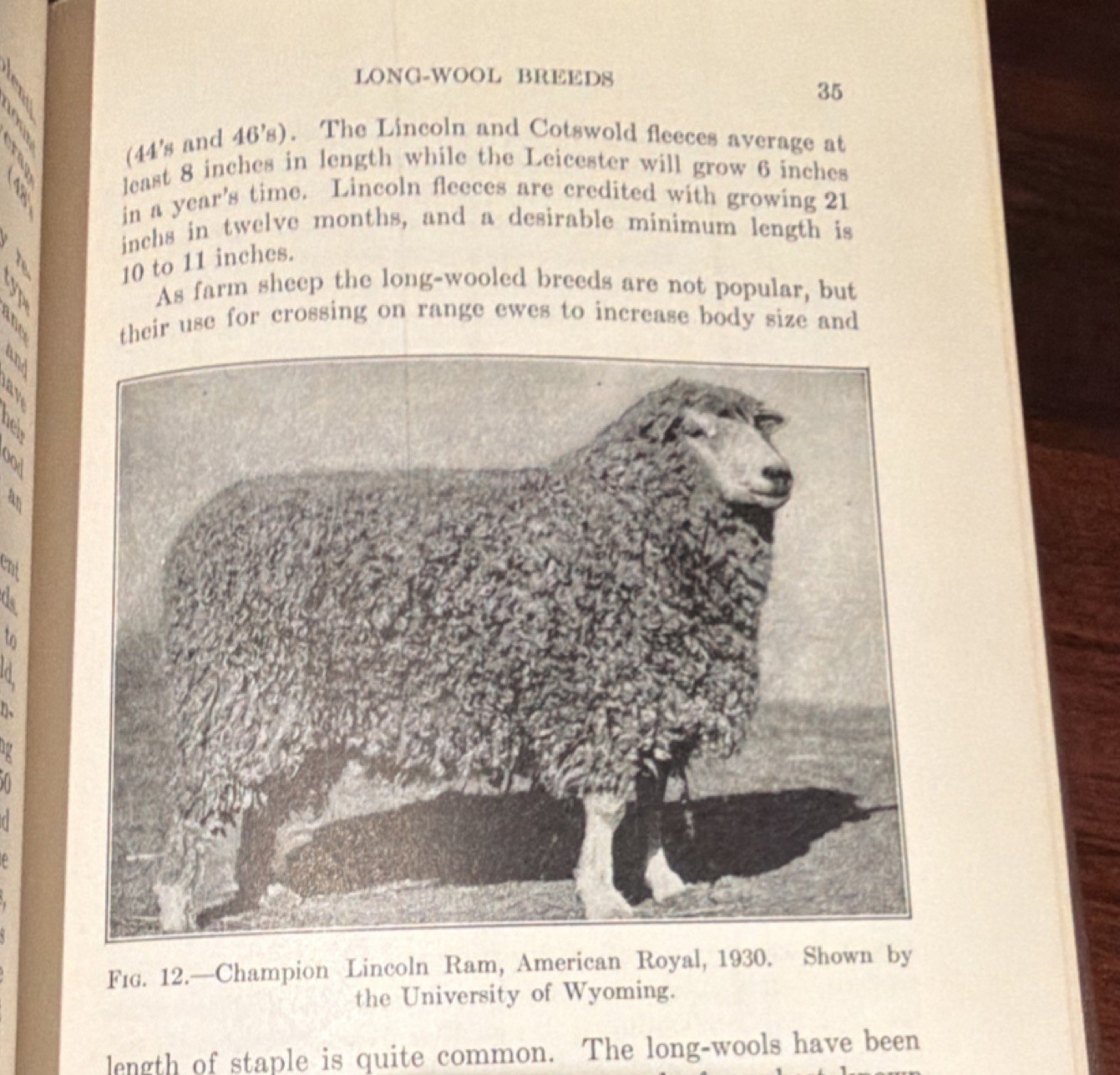 John Wiley & Sons Range Sheep and Wool Hultz Hill Hardcover Agriculture 1931