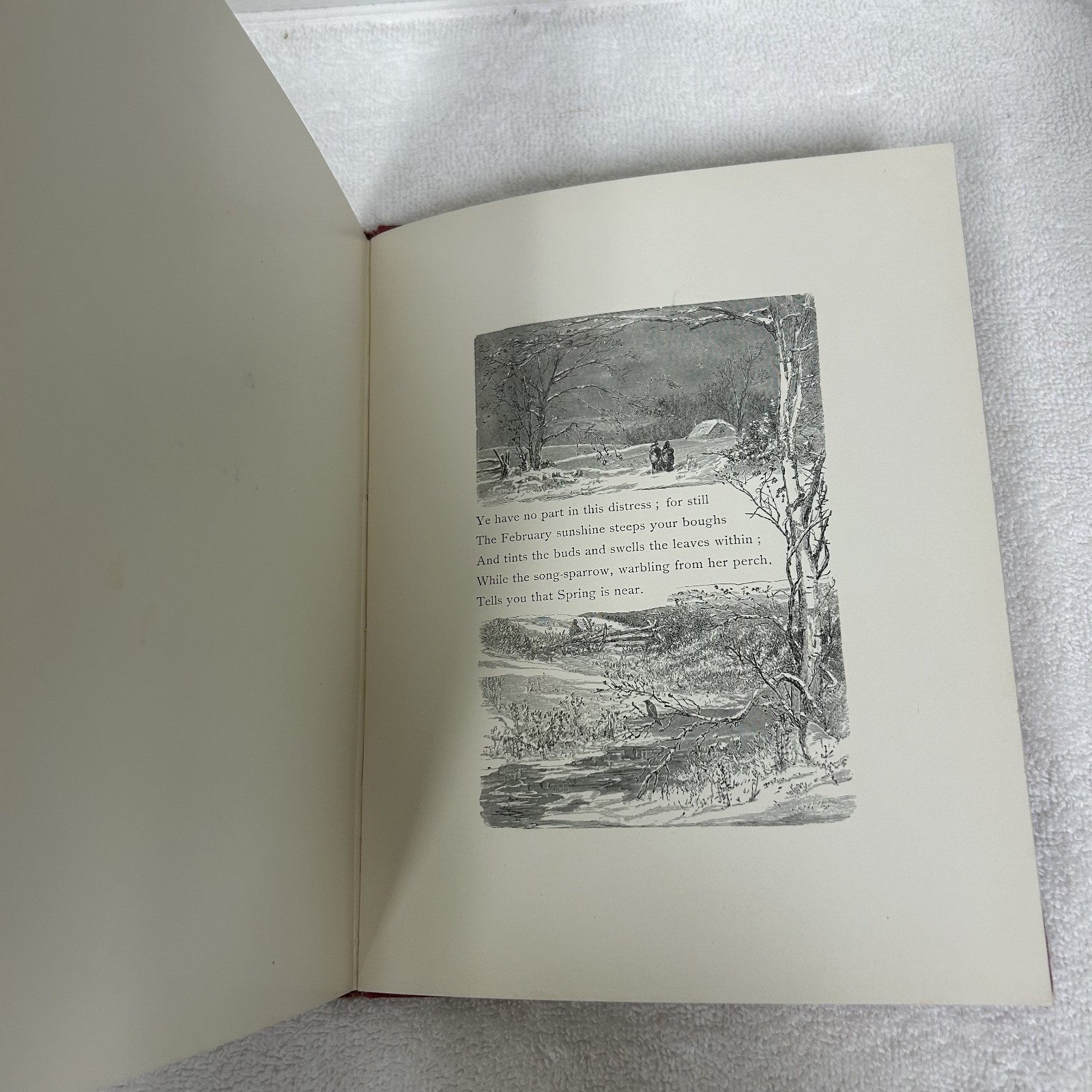 Antique 1900’s Date WC Bryant Among the Trees Illustrated Nature Poetry Book
