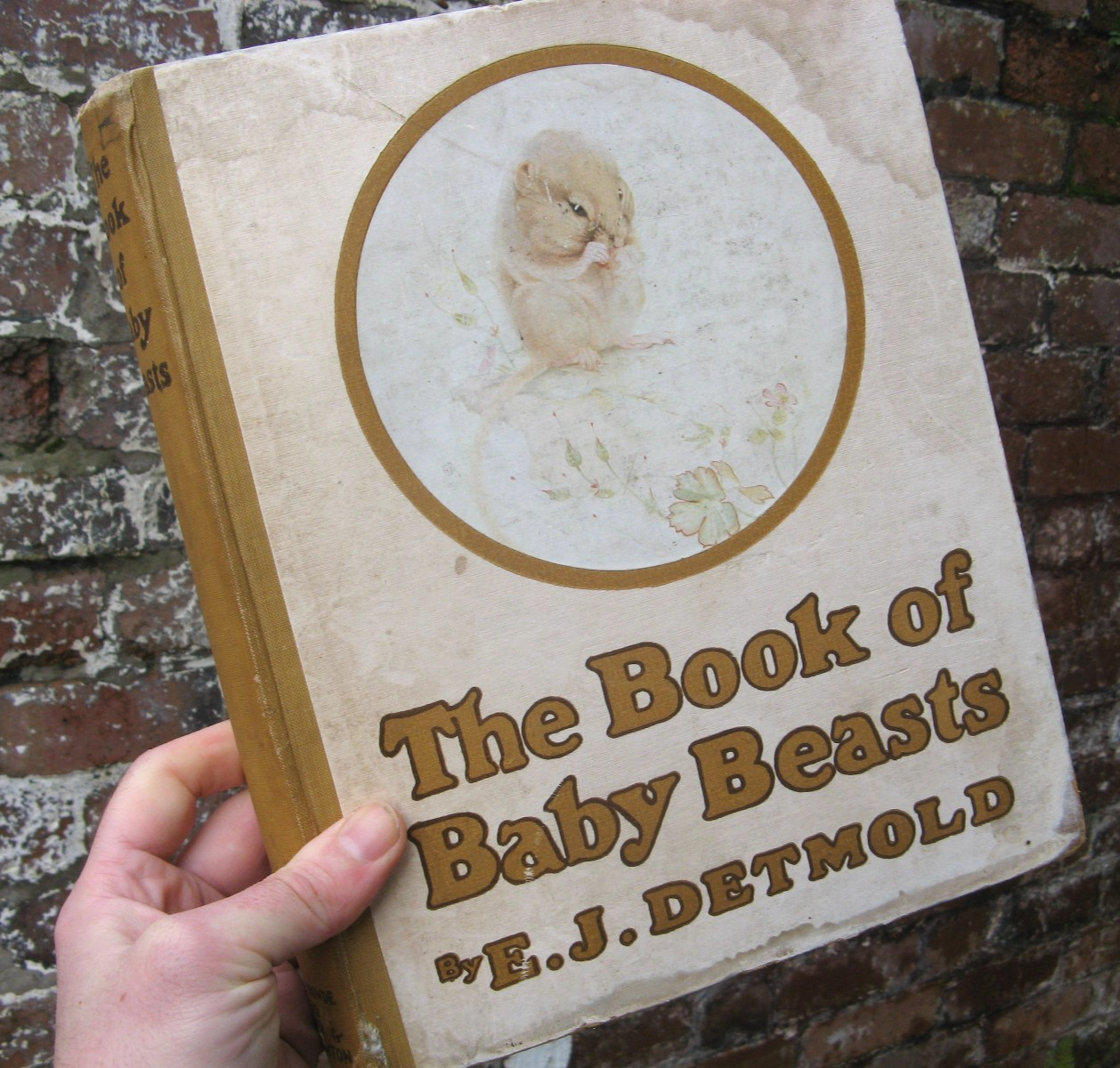 1911 The Book of Baby Beasts- Detmold SIGNED 1st Edition