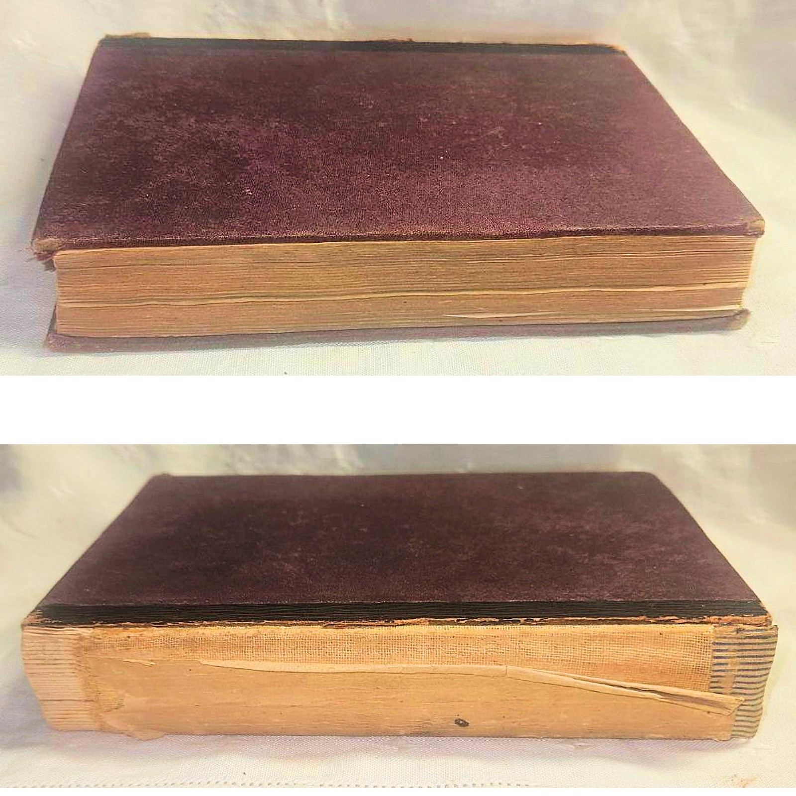 1888 A Compendious German Grammar William D Whitney Hard to Find Antique