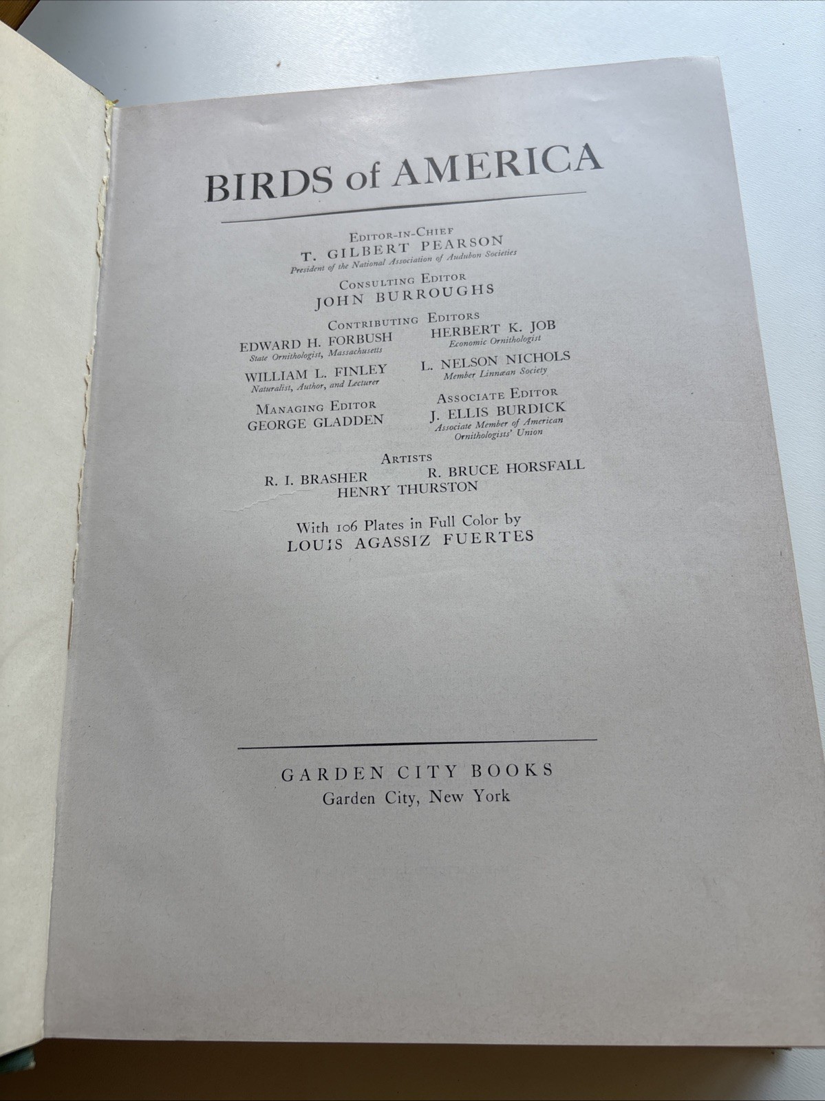 Birds Of America ~ 1936
