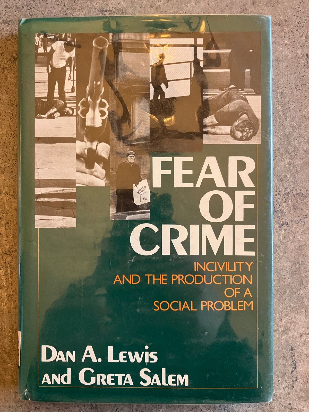 Dan A Lewis Greta Salem Fear of Crime Hardcover 1986 Criminology Social Science