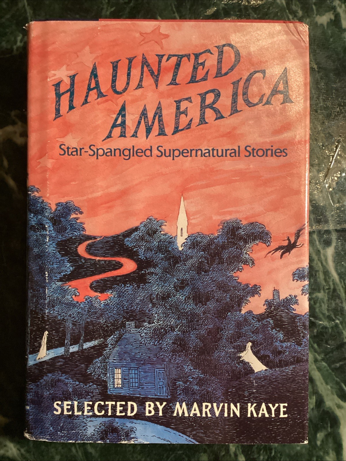 Haunted America Marvin Kaye Edward Gorey Lovecraft Derleth Bierce Poe Goth