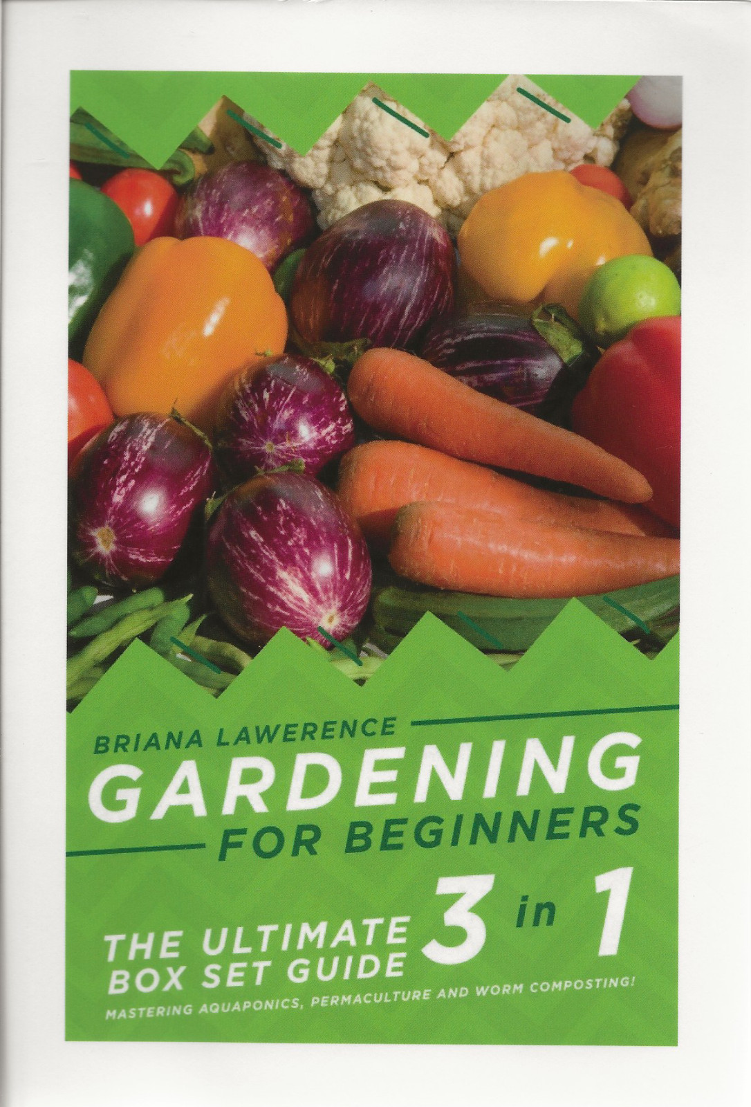 Gardening for Beginners Briana Lawrence 2015 Small Paperback Good