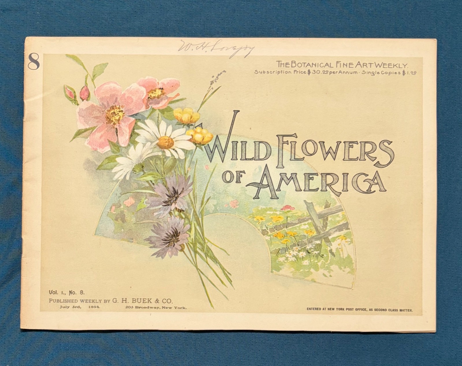 1894 The Wild Flowers of America Vol 1 No 8 ~ Maud Humphrey color art