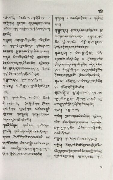 Dzongkha Development Authority / Dzongkha dictionary 2005 Language