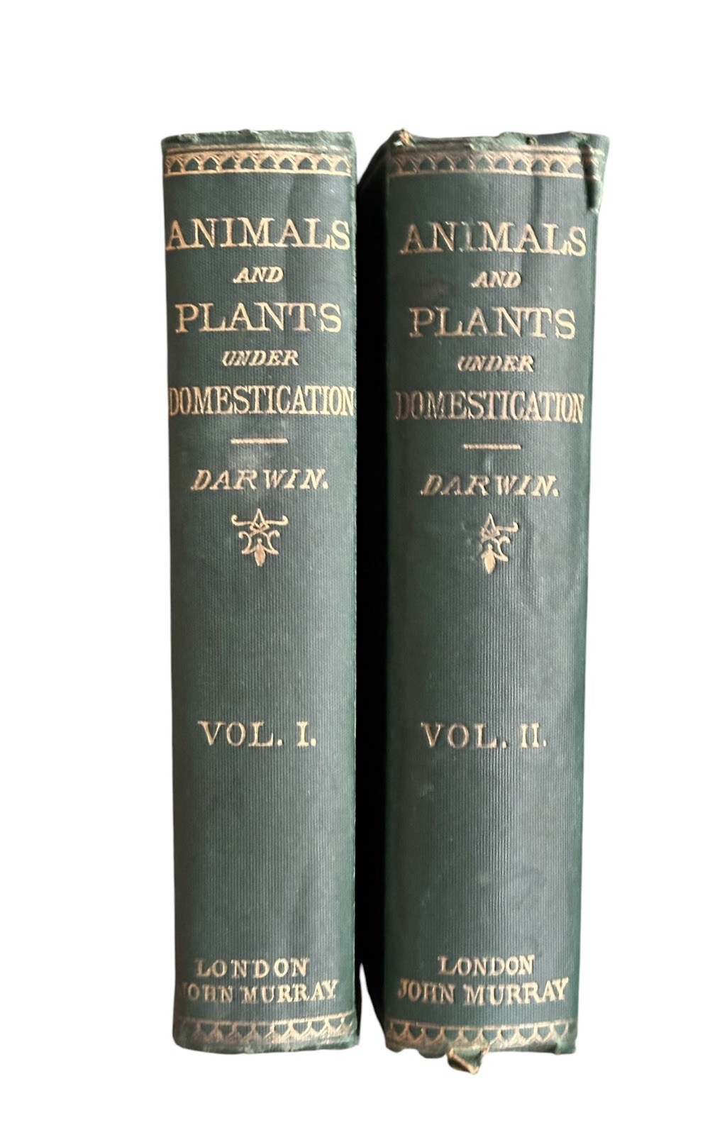 Animals and Plants Under Domestication by Charles Darwin 1882 John Murray