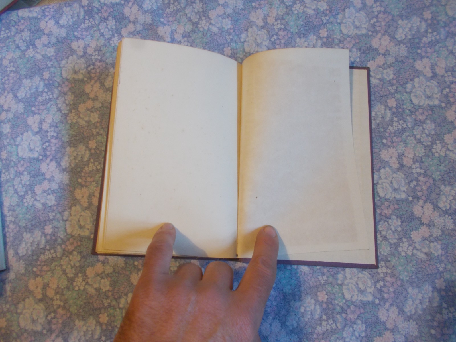 Lady Carter A LIVING SOUL IN HOLLOWAY 1938 1st ed women’s prisons welfare RARE