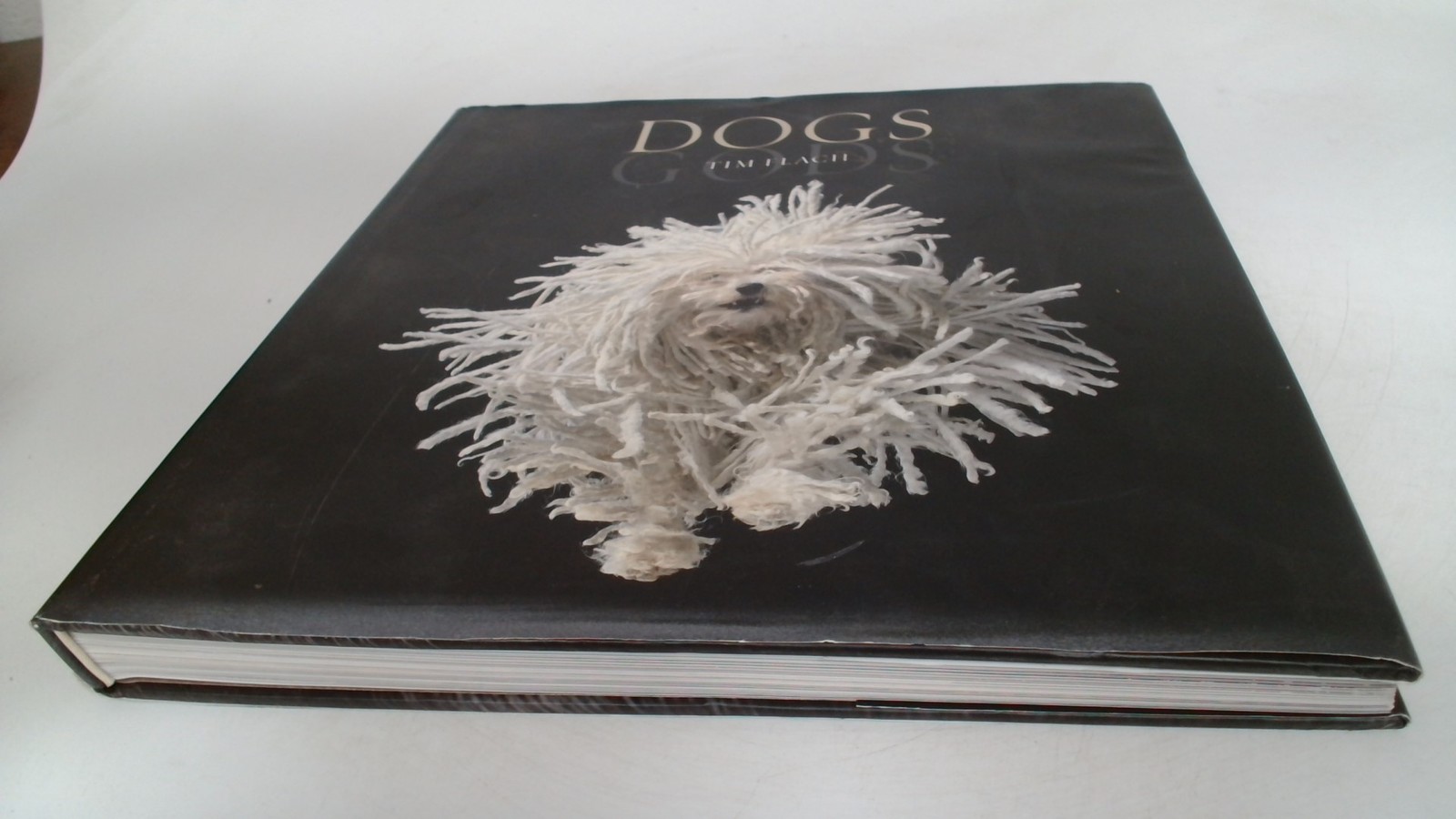 Dogs / Gods: Gods, Flach, Tim, Harry N. Abrams, Inc., 2010, Hardc