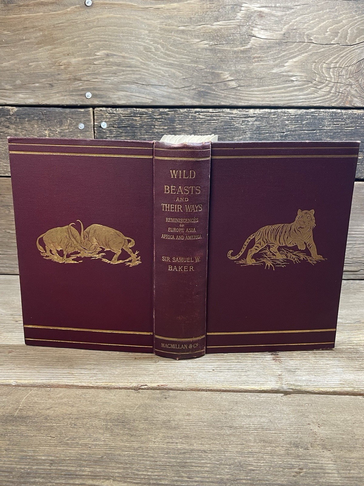 1891 Wild Beasts and Their Ways, Sir Samuel W. Baker Second Ed. , STUNNING BOOK