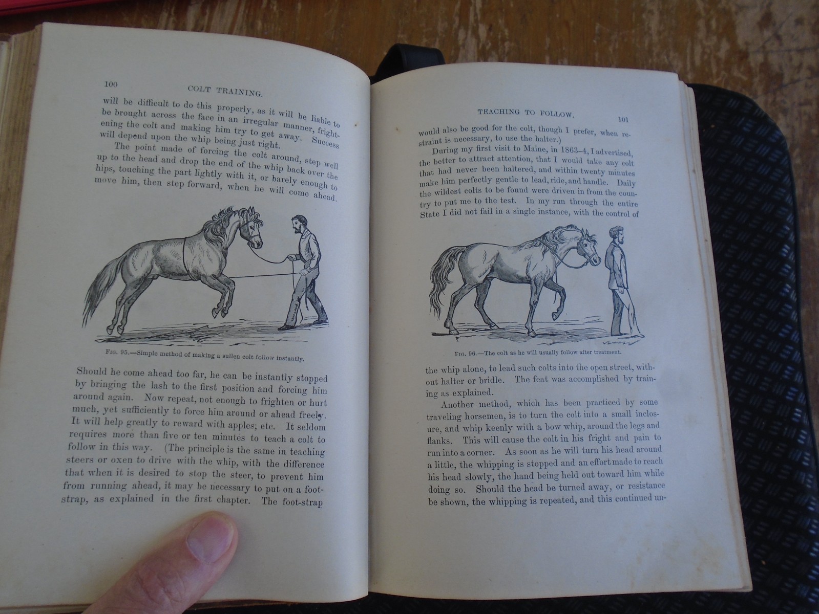Taming and Educating Horses by D. Magner, 1877, 1112 Pages, 4 1/2 lbs!